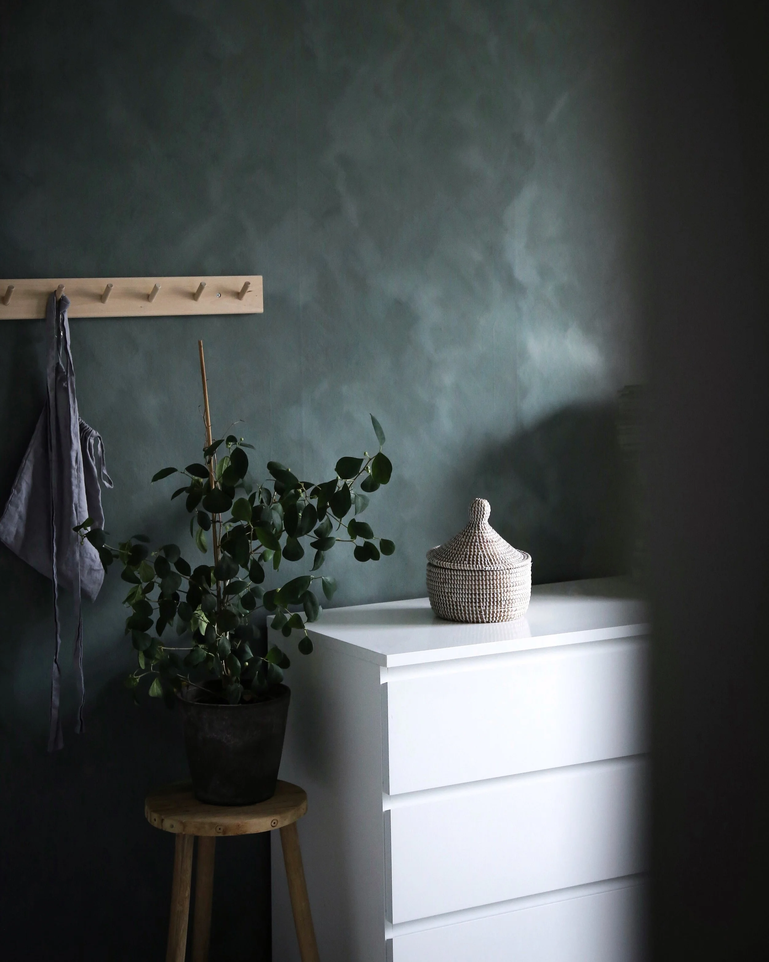 957911C9-41C9-4BB3-964B-B45BAF1C8A8A (1).jpeg