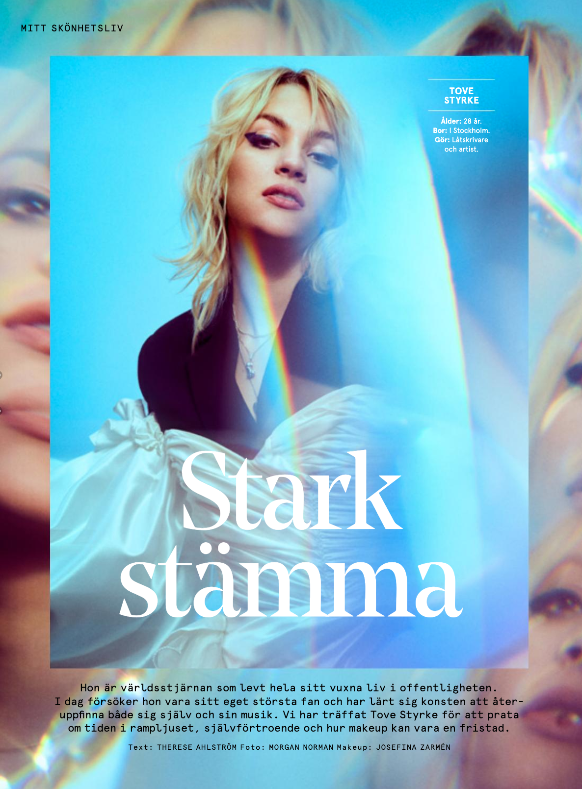 Skärmavbild 2021-01-27 kl. 15.34.34.png