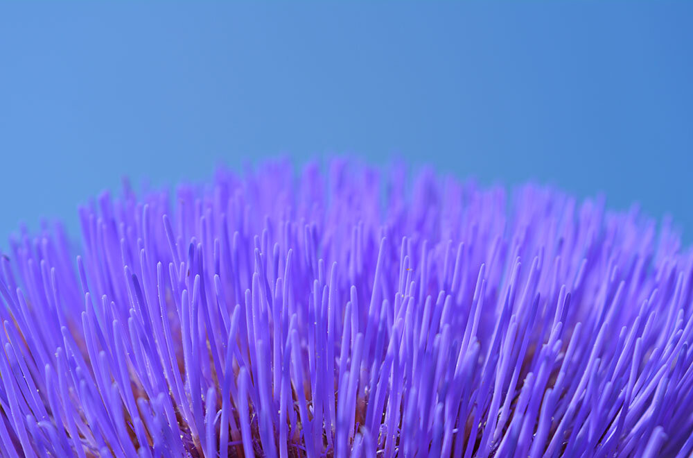 artichoke bowl of the sky.jpg