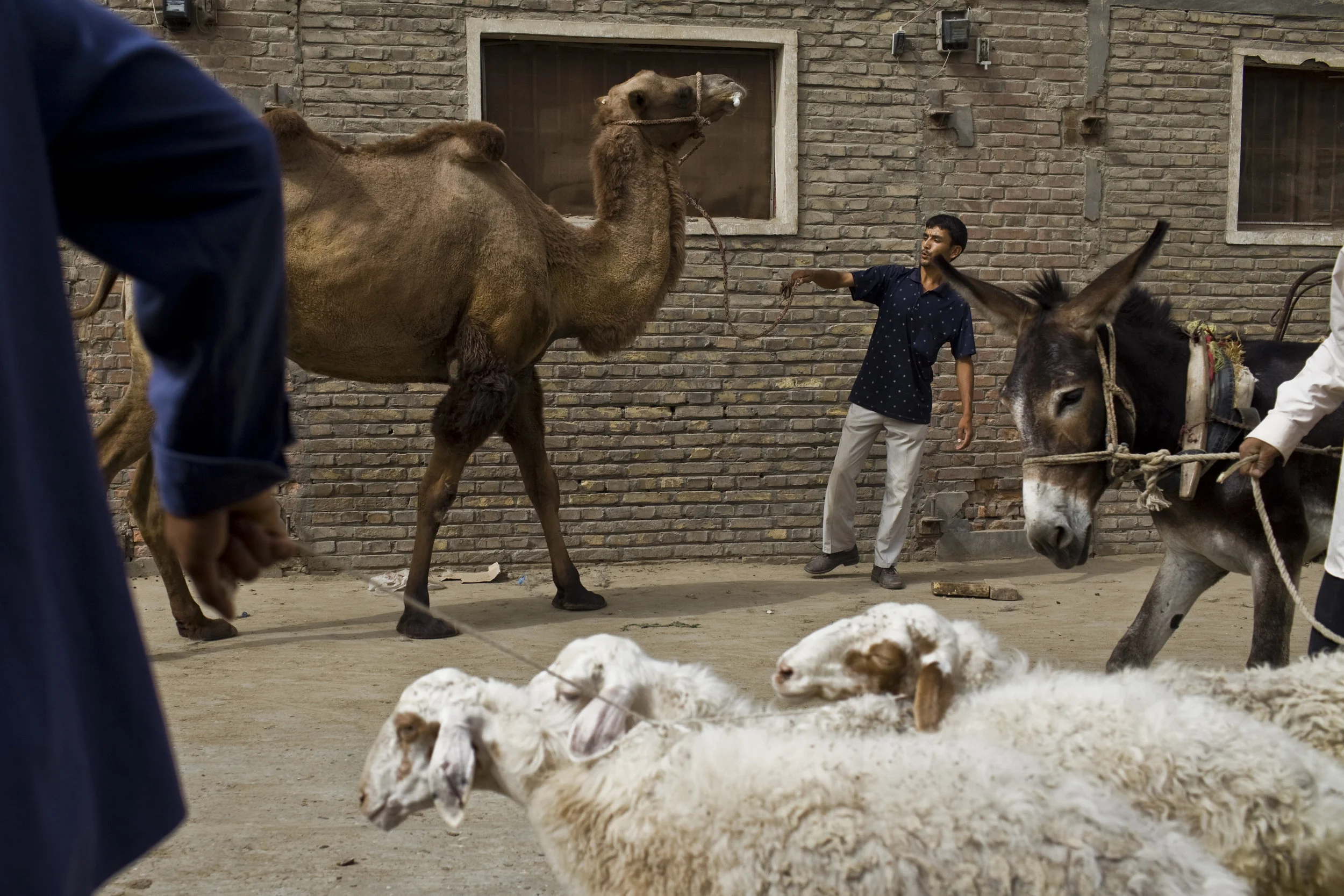 China_Xinjiang012.JPG