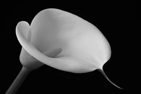 Funeral Services FILMING / Videography - Affordable Video PackageProfessional videographer with a "Fly on the wall" approachThis day is often very hard for everyone involved, it’s nice to have the memories captured to take in at a later date, or to …