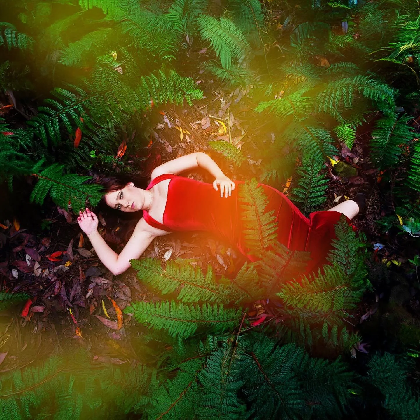 A photoshoot we did some time ago now, but still one of my favs! A random "wing it" day up in the Dandenong Ranges with @lain.nathan 🍂