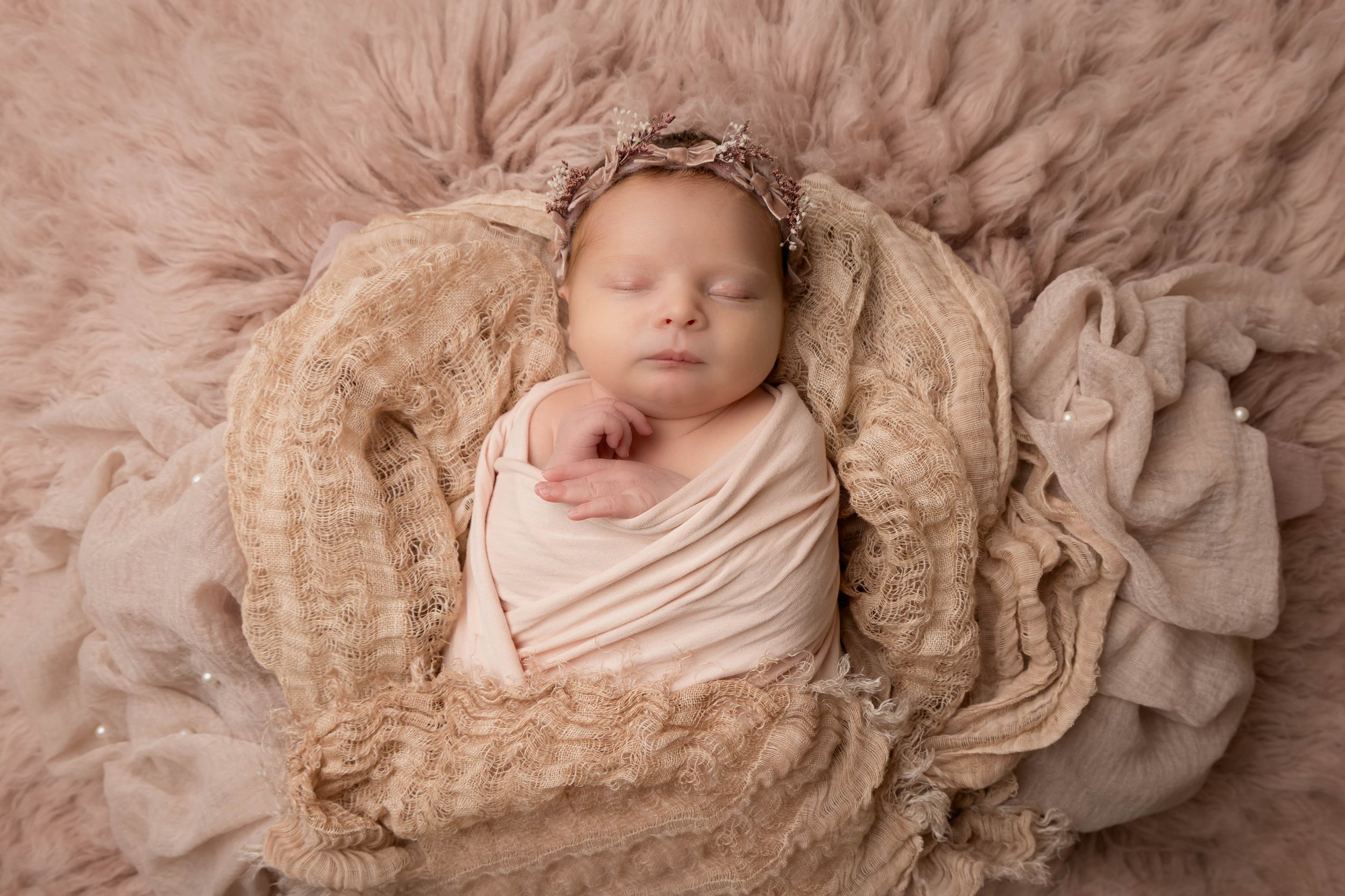 creamy pinks newborn shoot bedfordshire