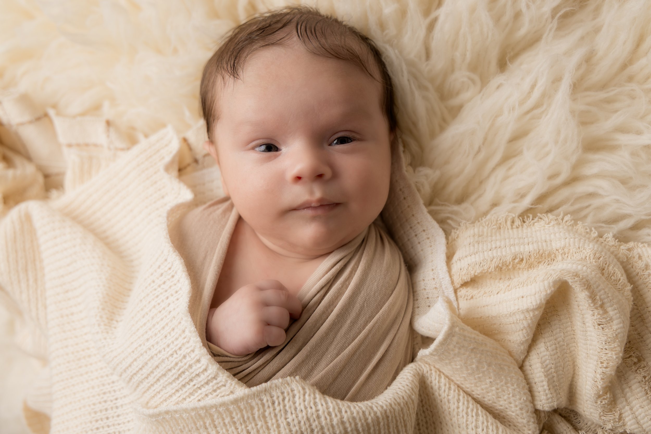 6 week baby cambridgeshire photographer