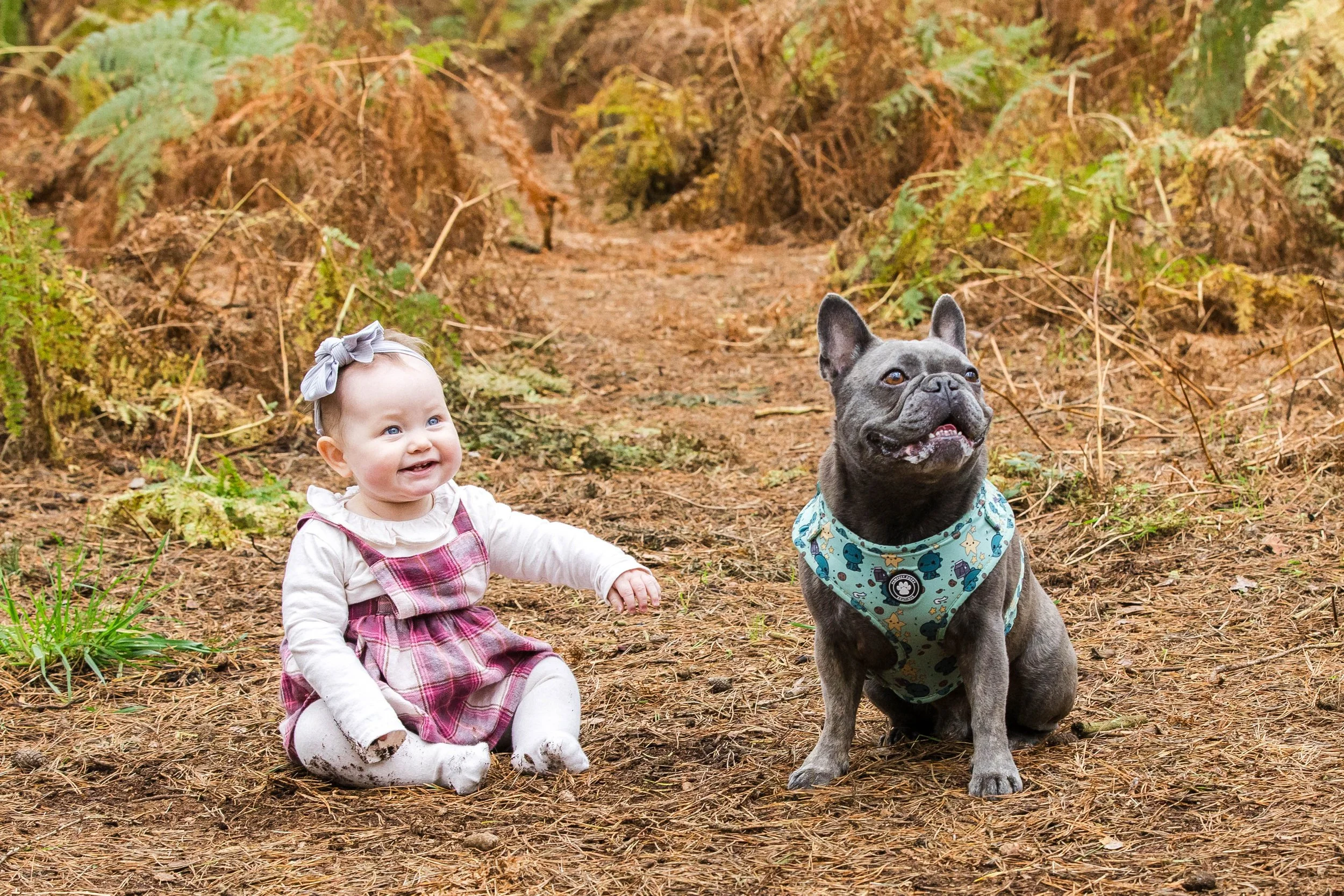 a girl and her dog hertfordshire