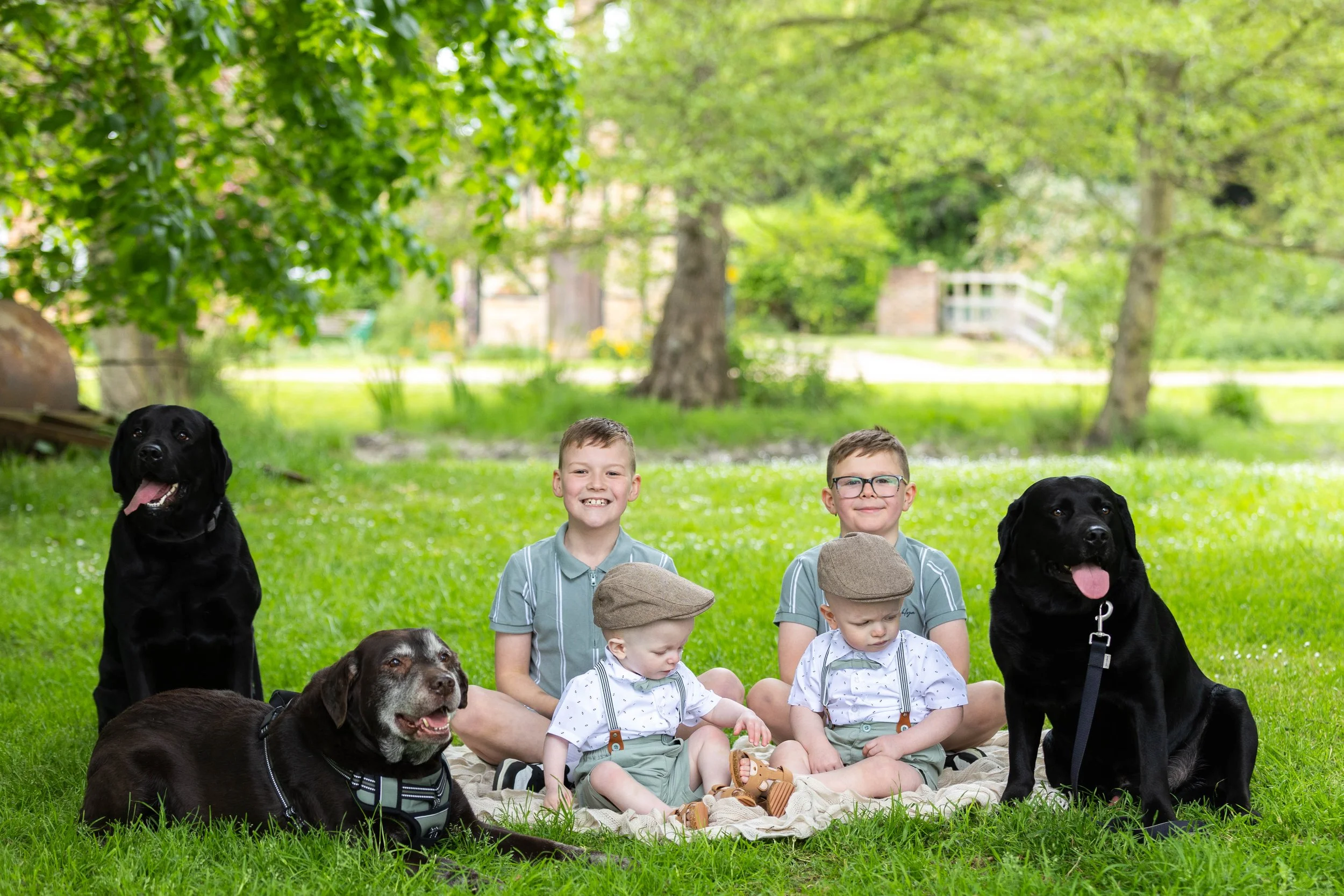 extended family spring mini biggleswade