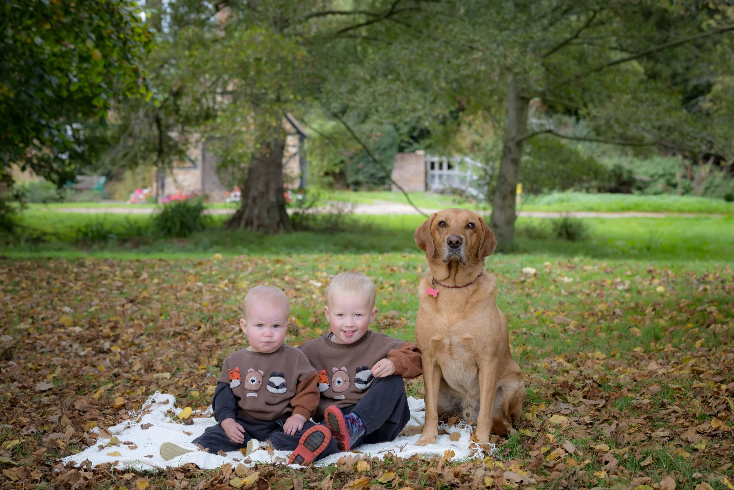 boys and their dog bedfordshire