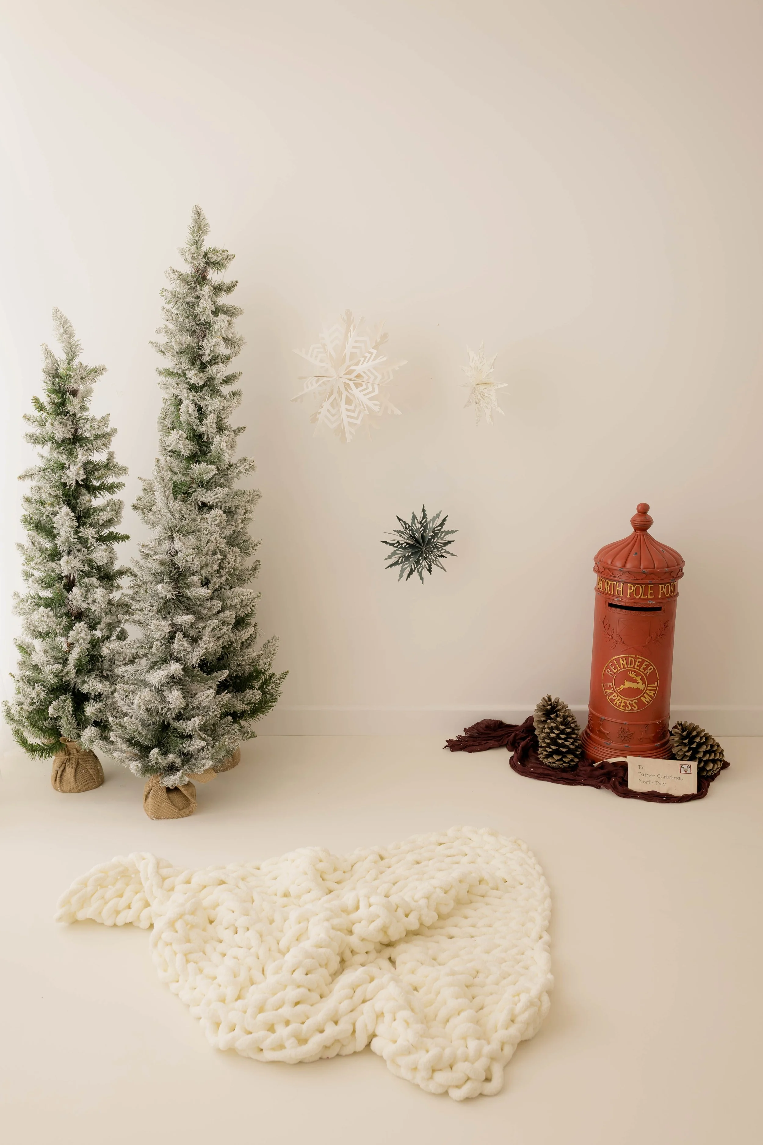 behind the scene look at the 2026 christmas mini session set up