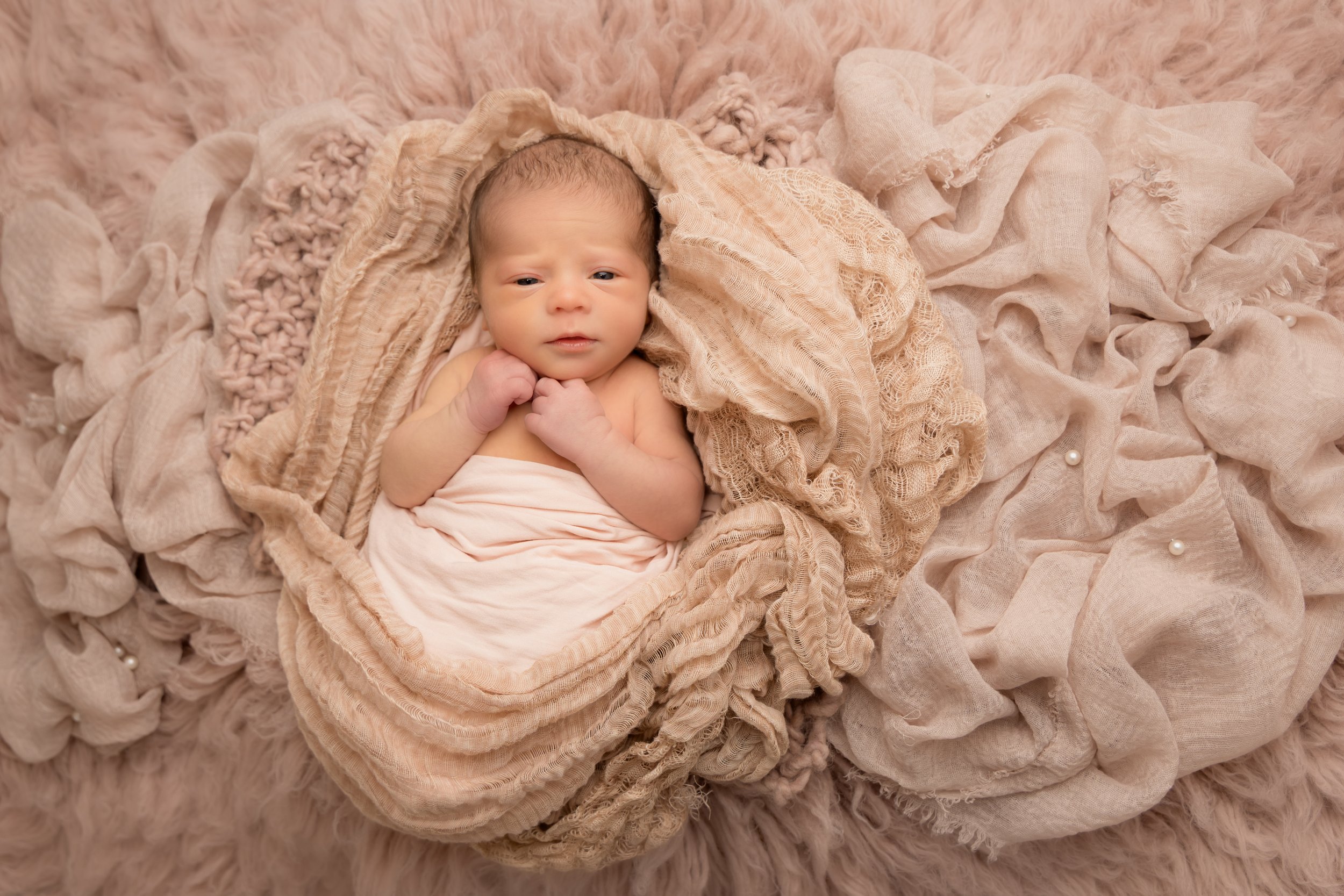 newborn photoshoot hertfordshire