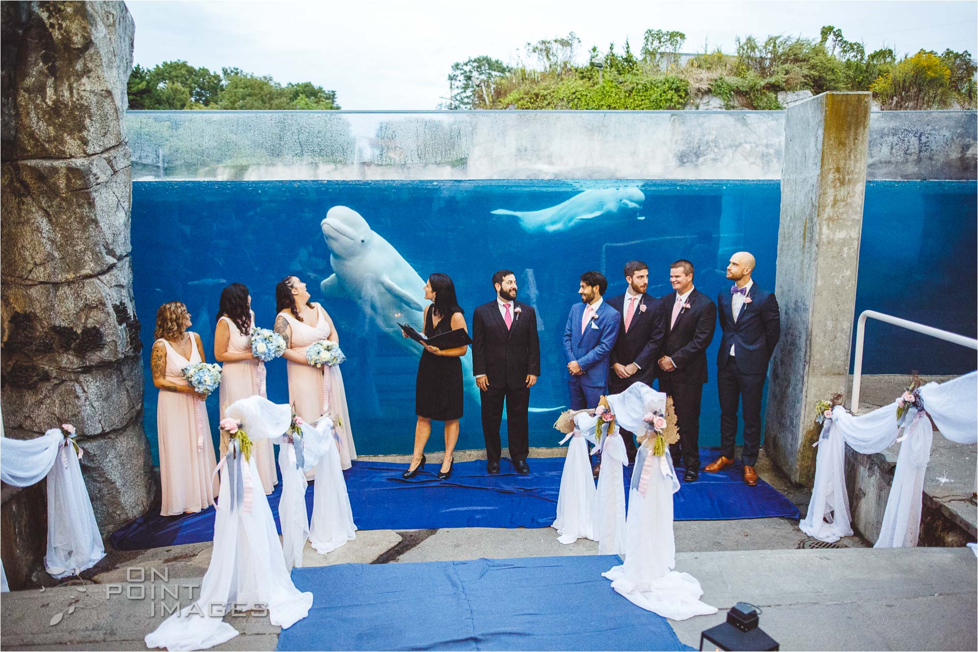 mystic-aquarium-wedding-photographs-21.jpg