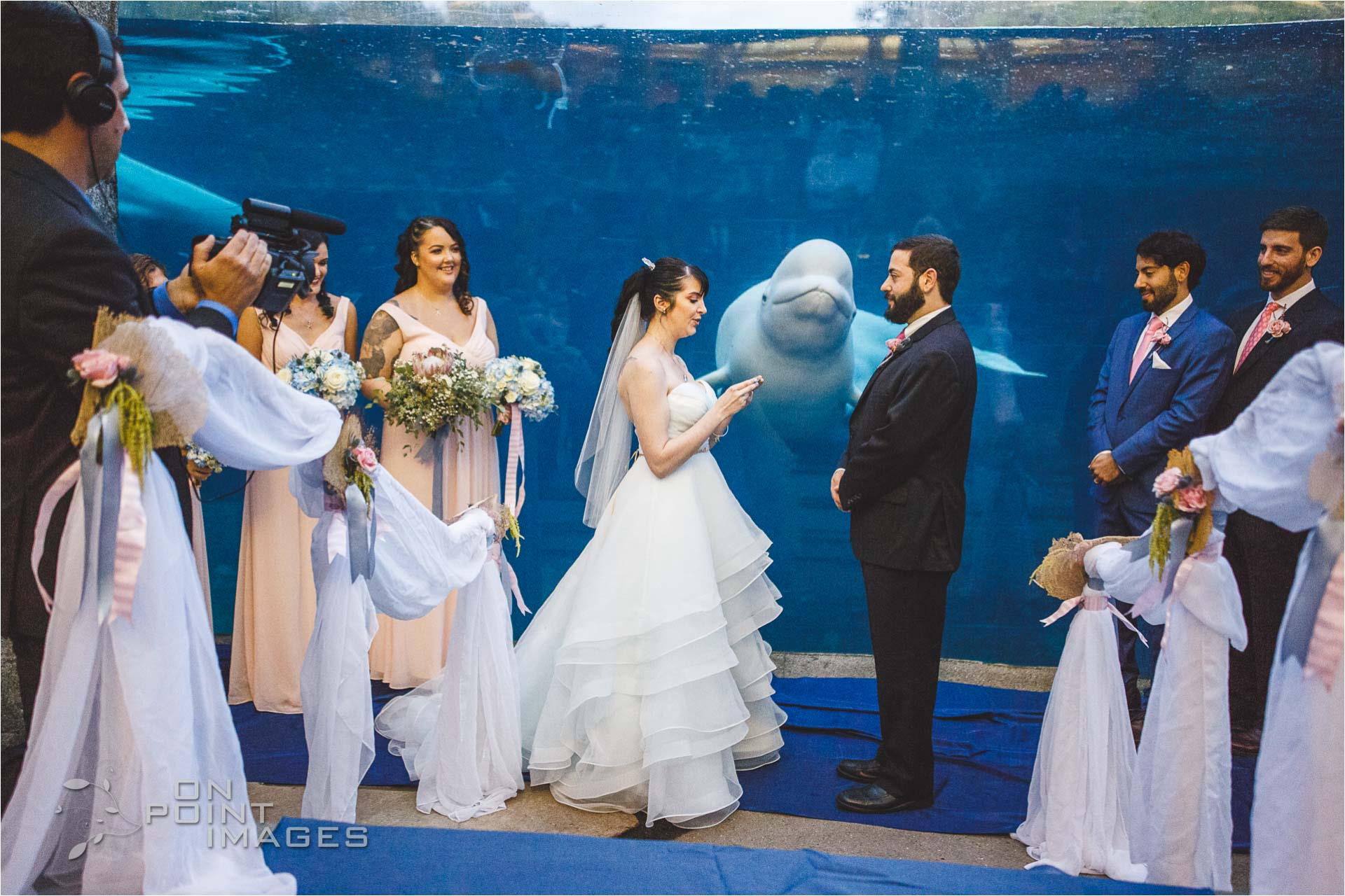 mystic-aquarium-wedding-photographs-24.jpg