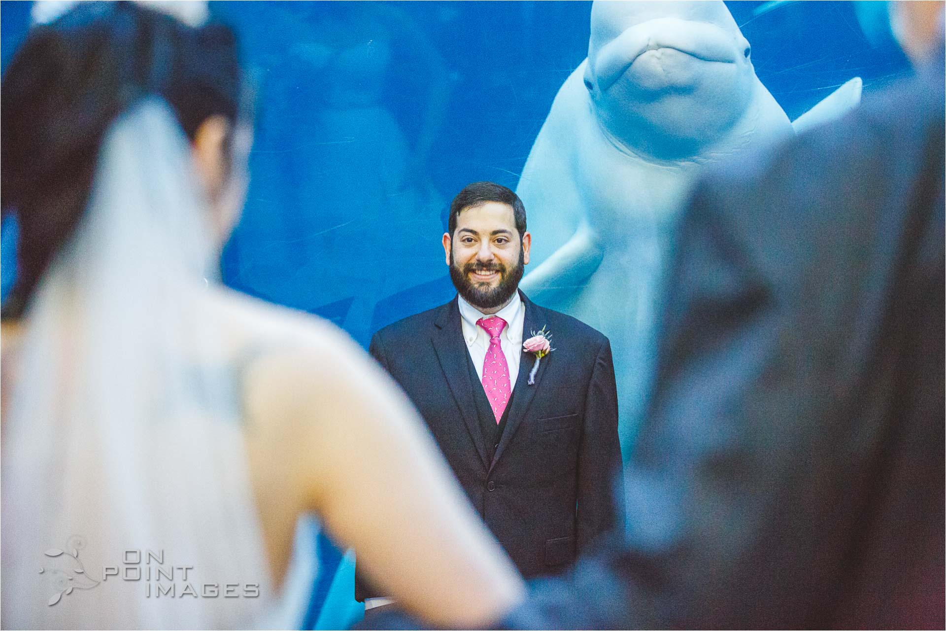 mystic-aquarium-wedding-photographs-23.jpg