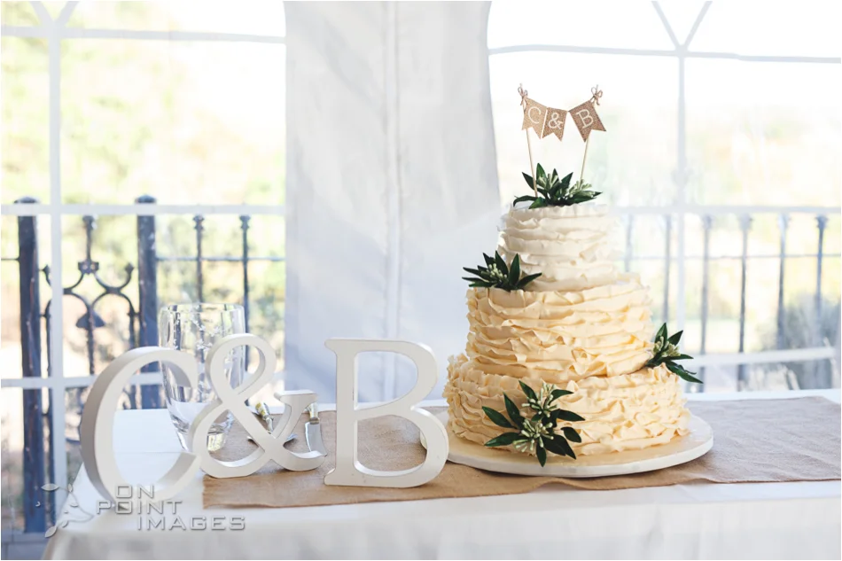 wickham-park-fall-autumn-wedding-photographs-37.jpg