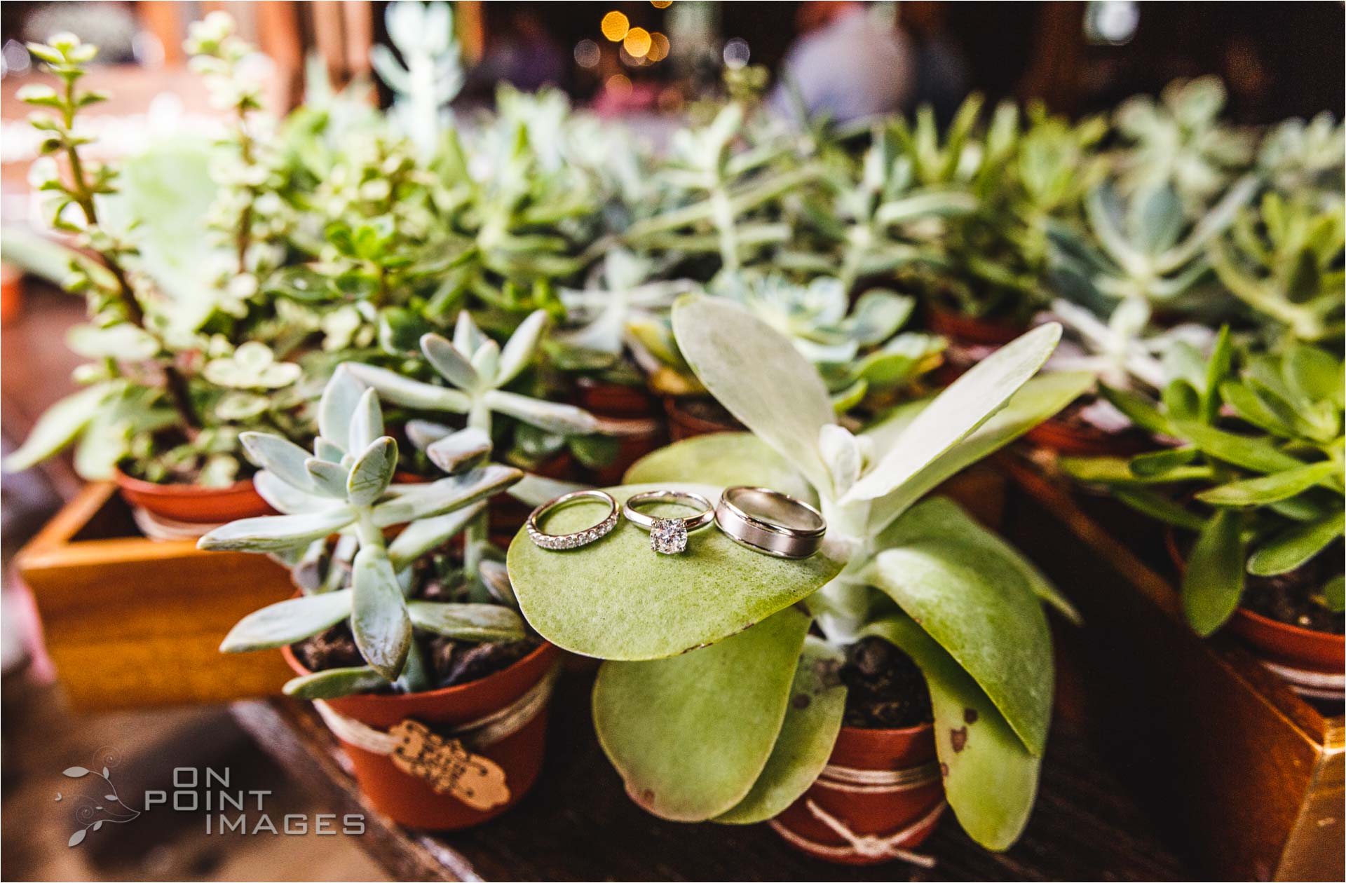 Webb-Barn-Wedding-Photographer-42.jpg