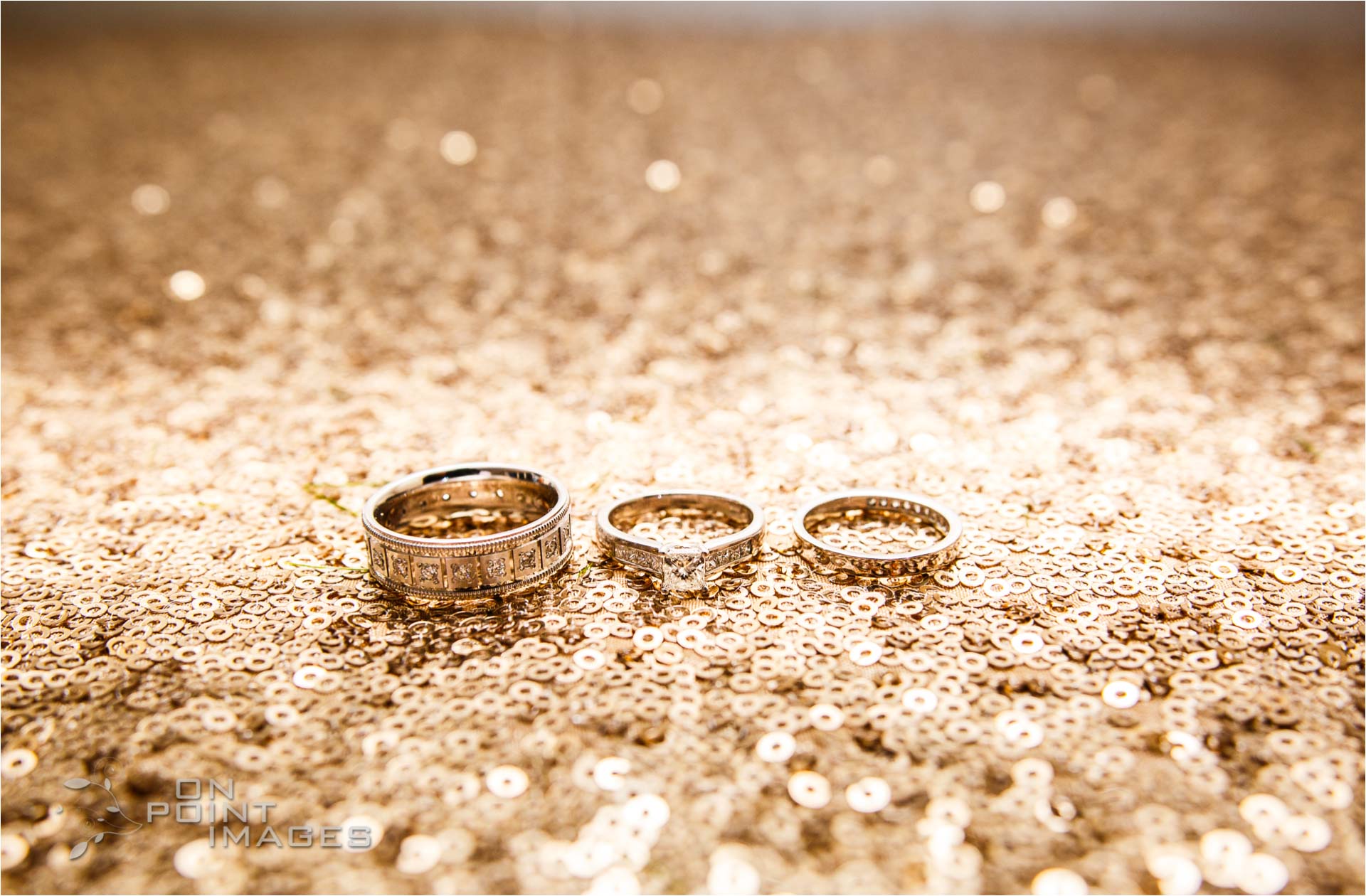 Anthonys-Ocean-View-Wedding-Photographs-35.jpg