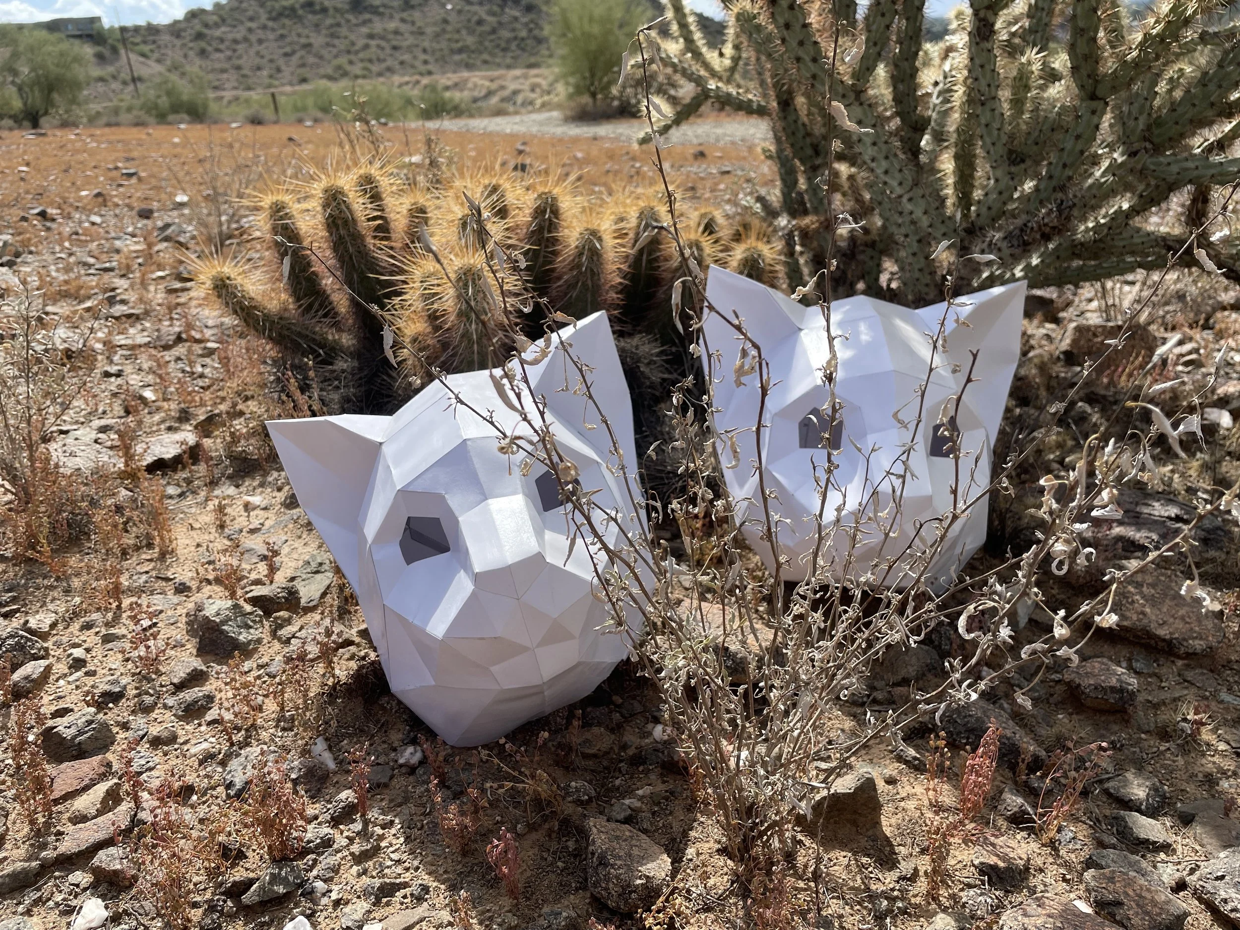 Trash Cats @ Glendale Community College