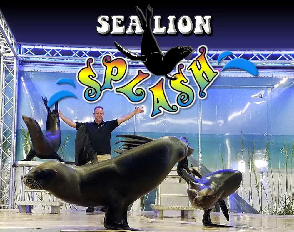 SEA LION SPLASH The Sea Lions will amaze you as they balance balls, shoot hoops, dance, perform headstands, and show off their pretty smiles. Featuring both California and South American Sea Lions! CLICK HERE TO CHECK IT OUT