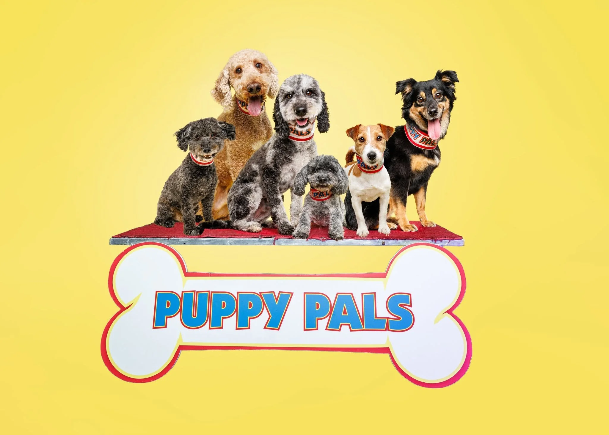 PUPPY PALS LIVE