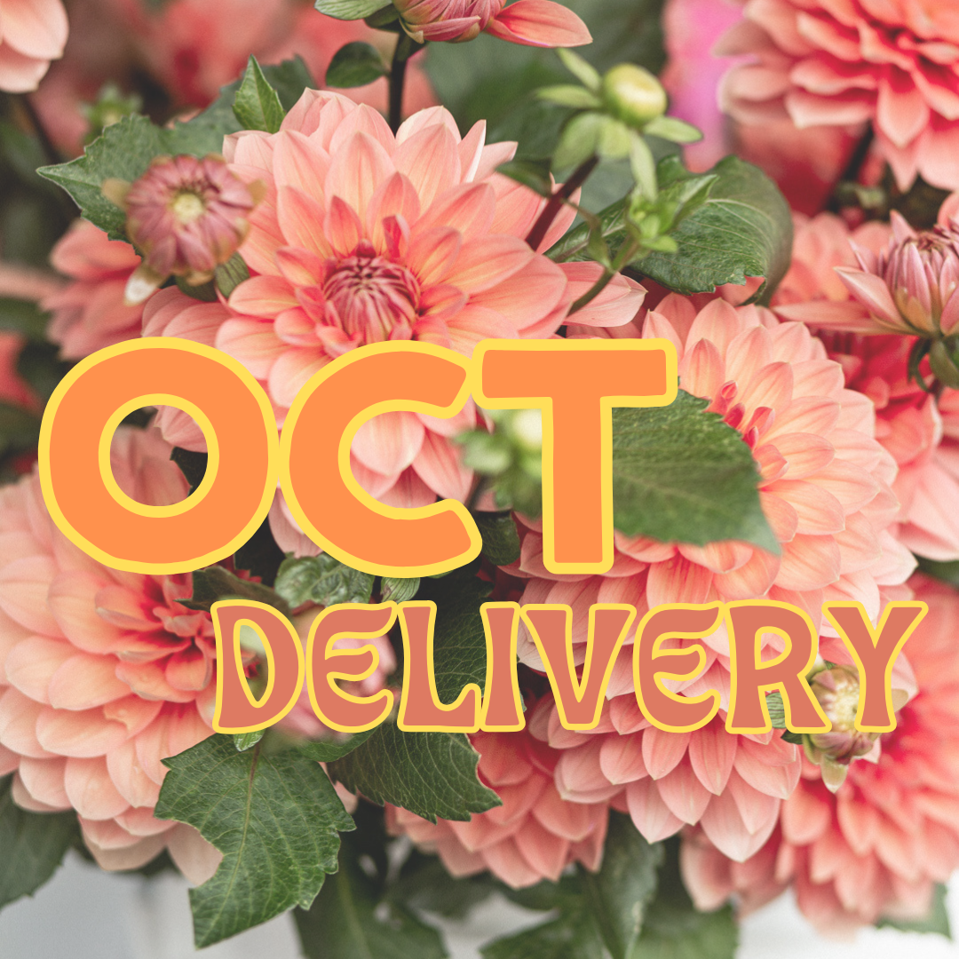 October Share - Delivery