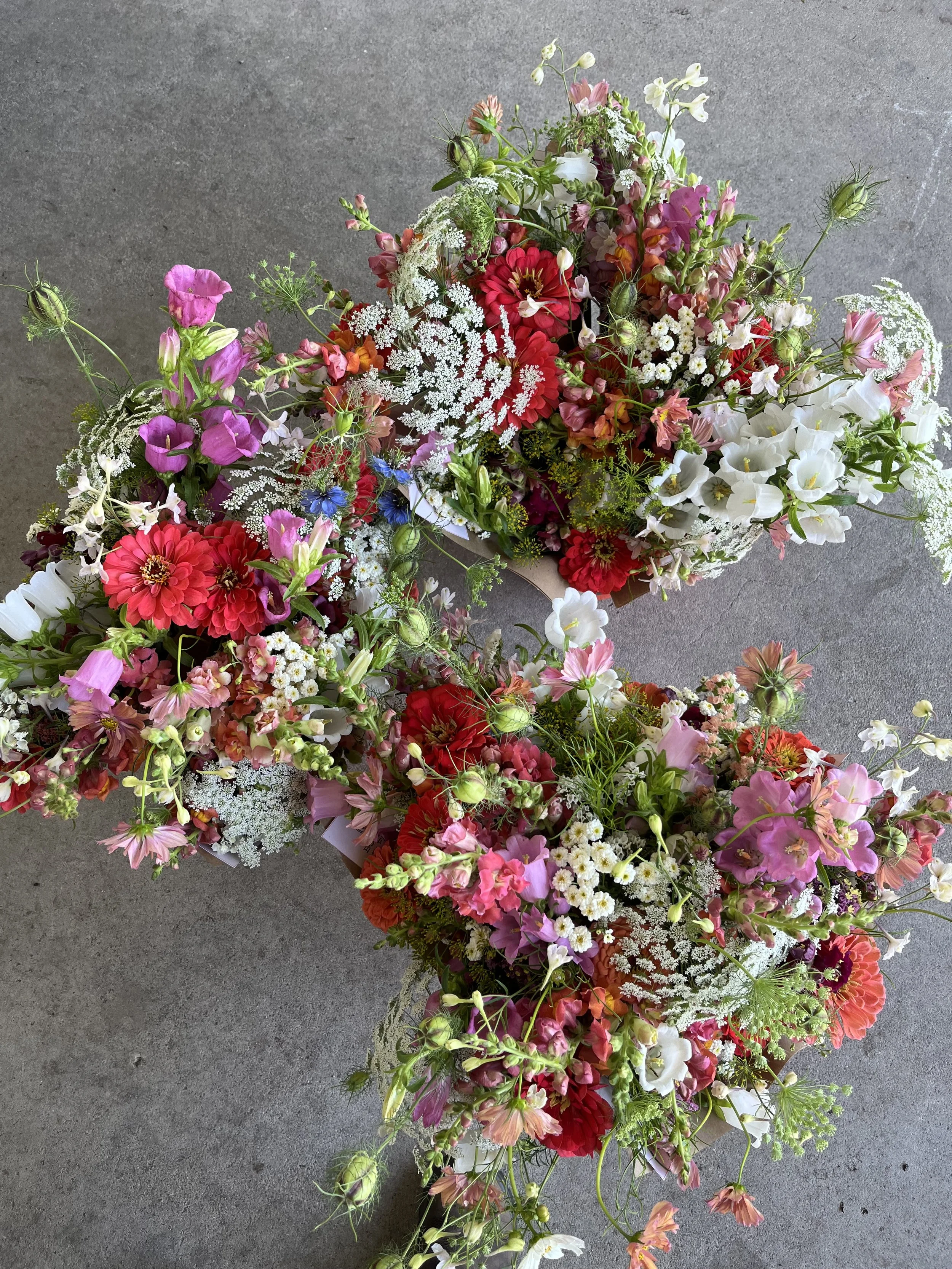 May delivery share.jpg