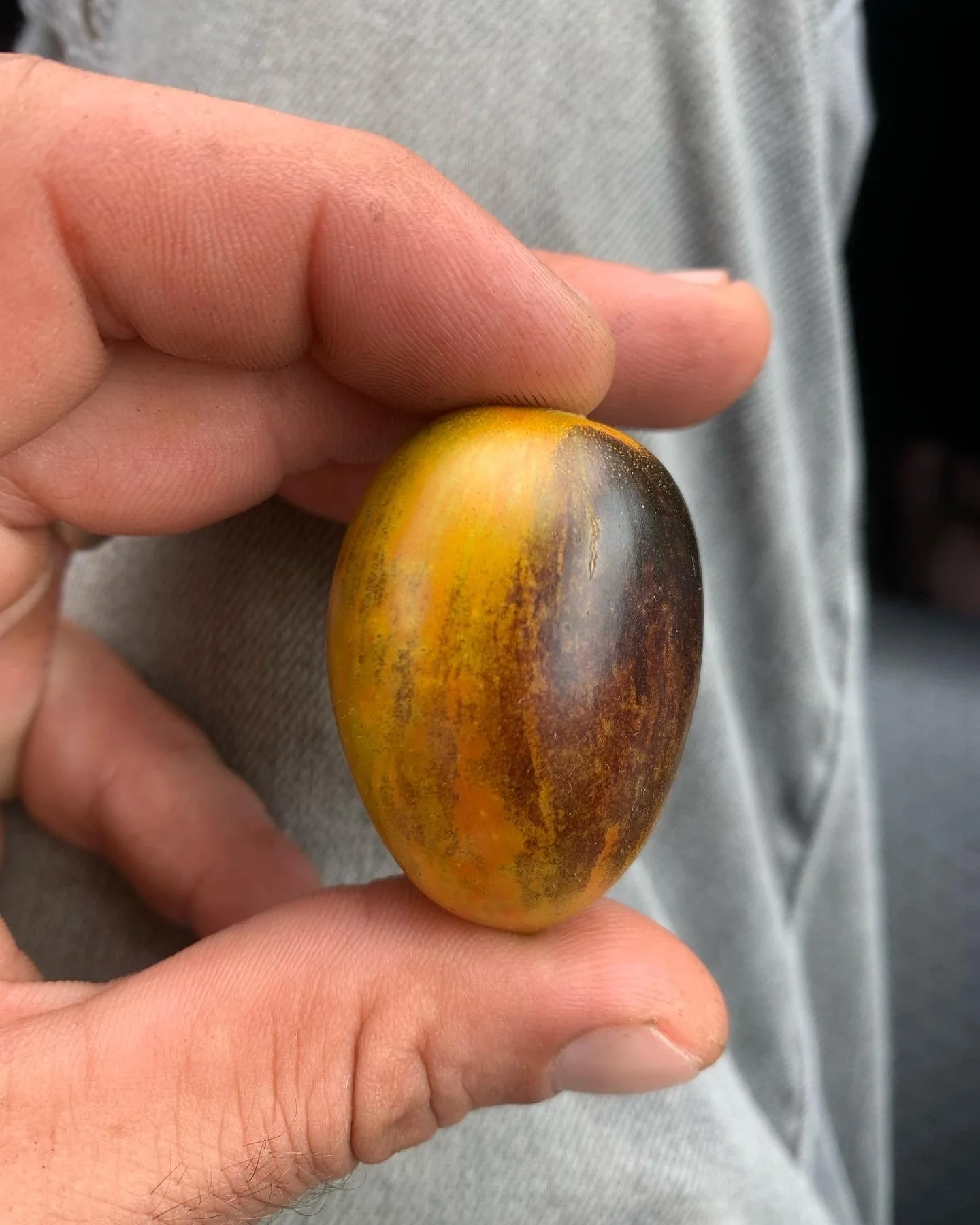 Grape Tomato - Brad's Atomic Grape