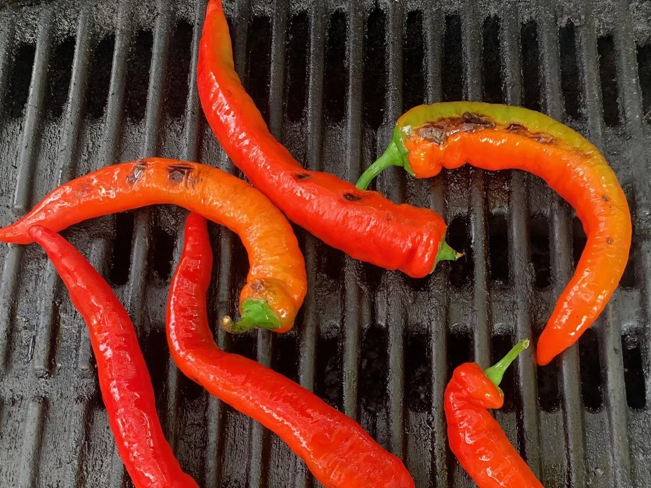 Sweet Pepper - Jimmy Nardello