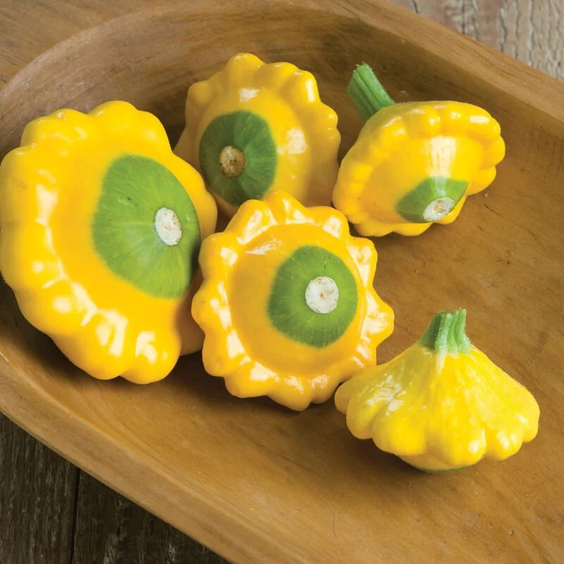 Summer Squash - Y Star Patty Pan