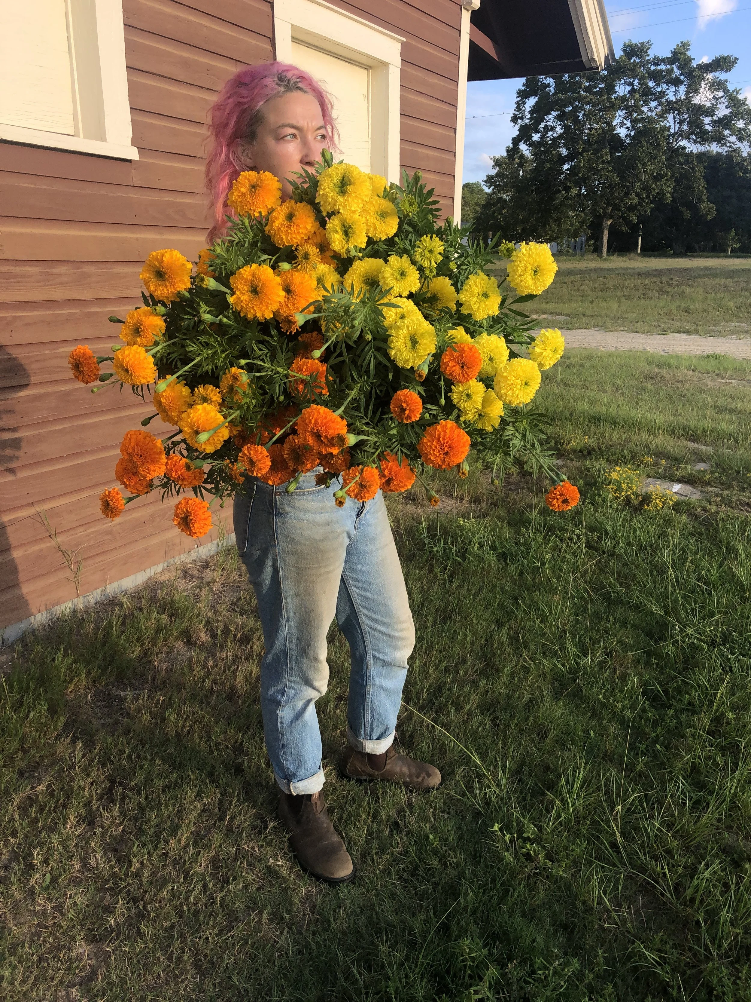 Flowers - Gold Marigolds
