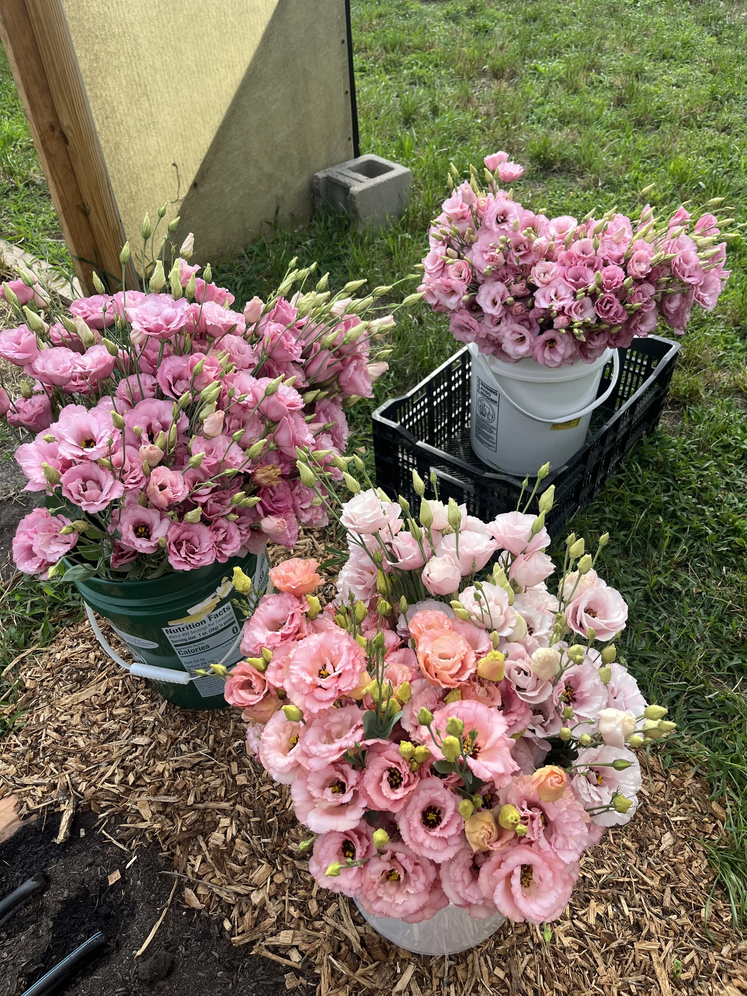 June Floral Design Workshop