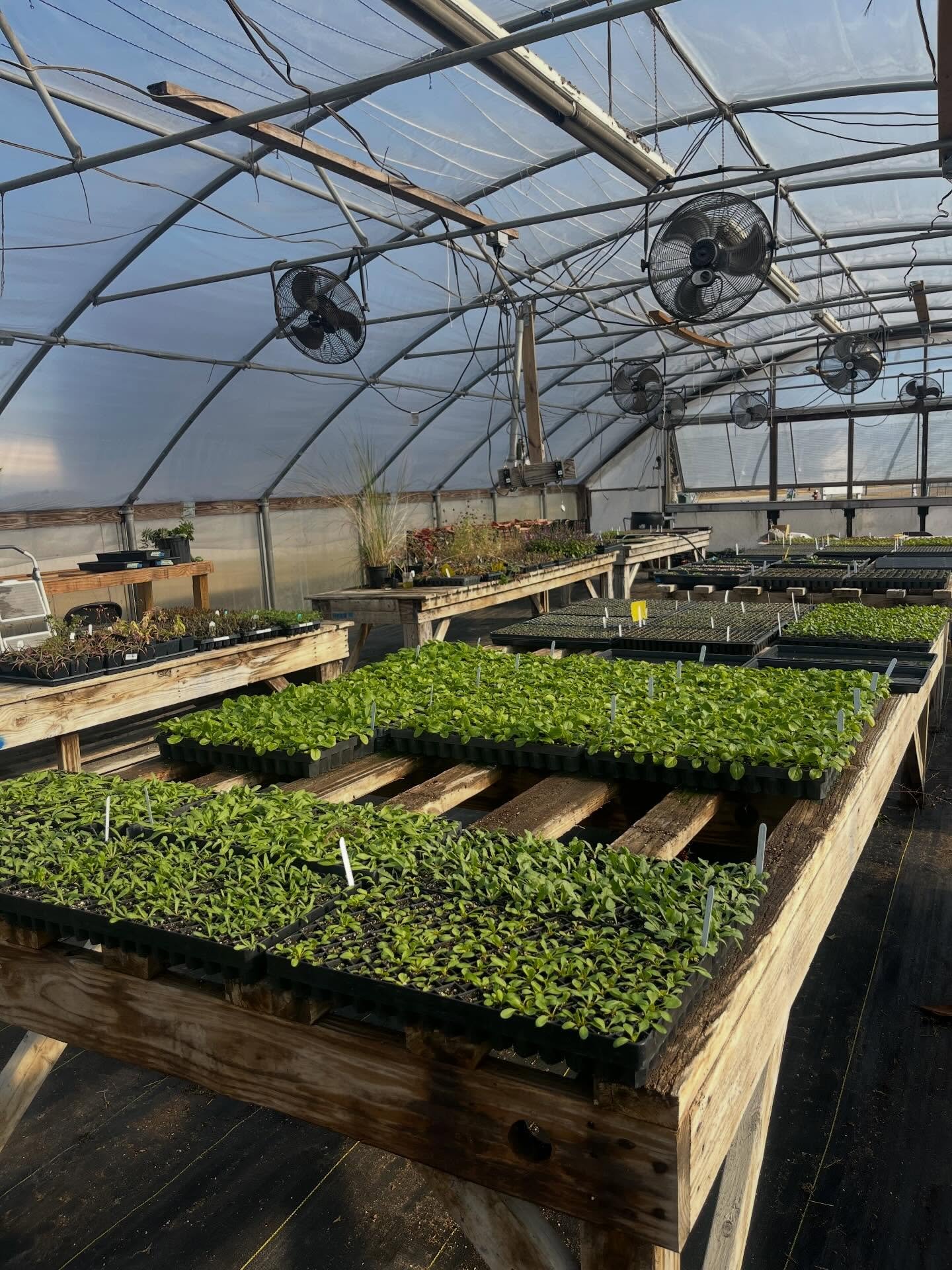 21 December 2025
Solstice ☀️