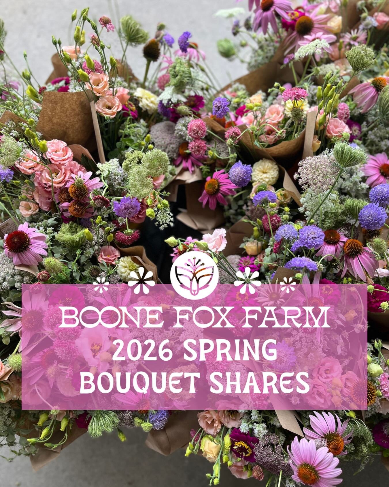 🌸Want a share of future flowers, grown sustainably right here in Columbia, SC?🌸

Our newsletter subscribers already know and our returning members have been busy signing up for our 2026 Spring Bouquet Shares! 

Or maybe you need a gift idea? Our Sh