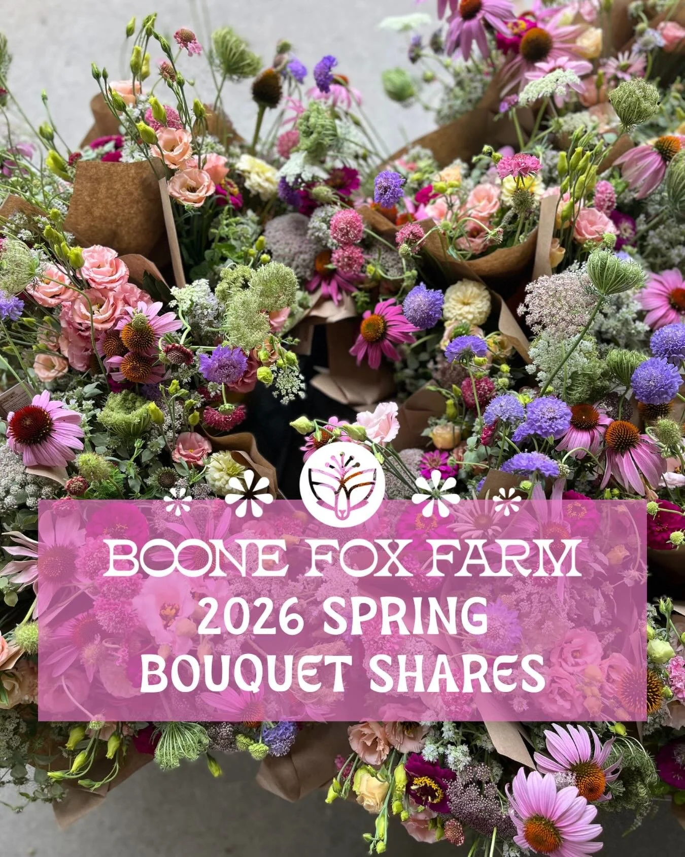 🌸Want a share of future flowers, grown sustainably right here in Columbia, SC?🌸

Our newsletter subscribers already know and our returning members have been busy signing up for our 2026 Spring Bouquet Shares! 

Or maybe you need a gift idea? Our Sh
