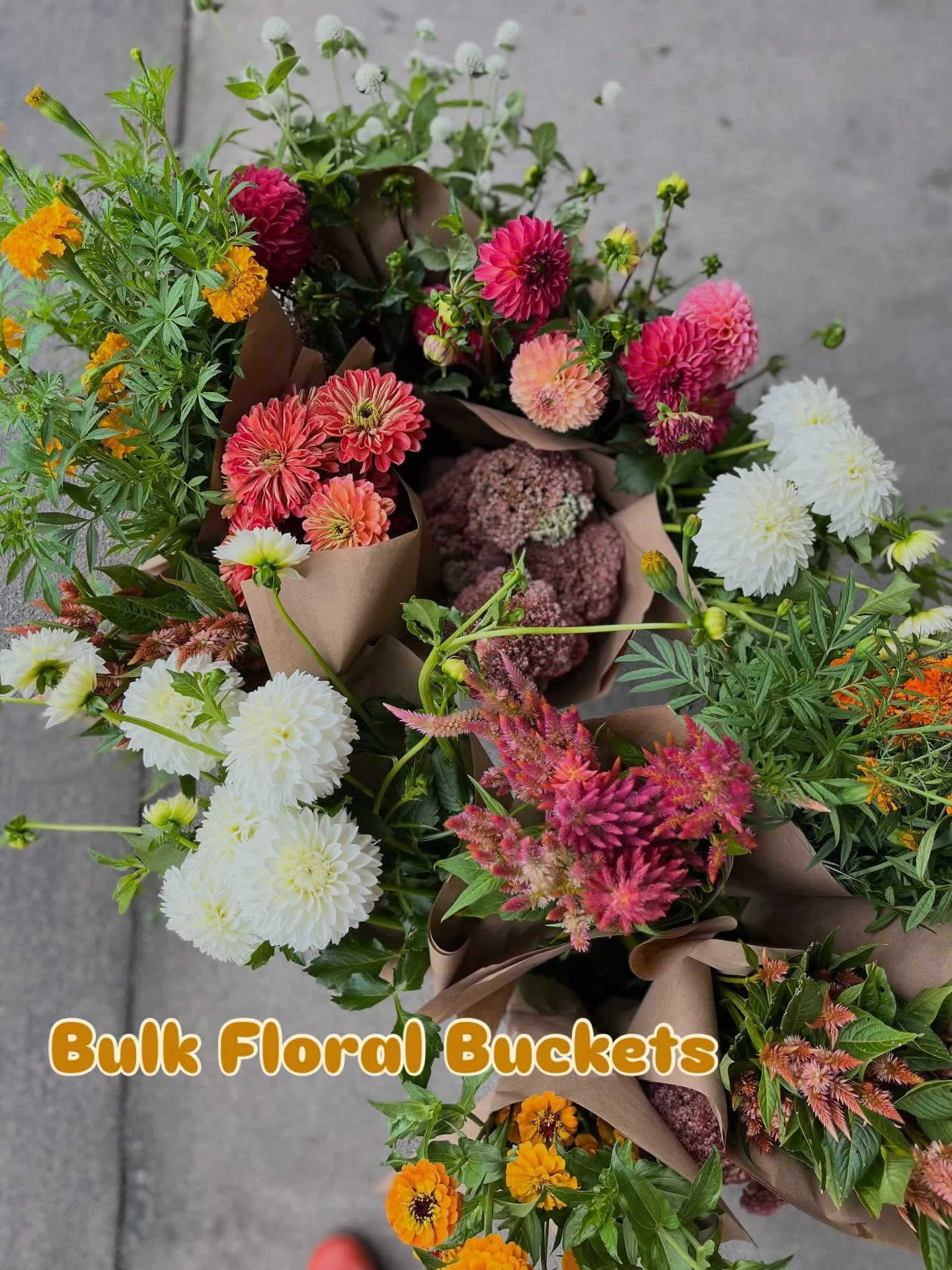 🌸BULK FLORAL BUCKETS🌸

I love packing these orders! We fill our Bulk Floral Buckets with the best the farm has to offer, with a cohesive design in mind, for your requested date. The right balance of focal flowers and filler flowers for making desig