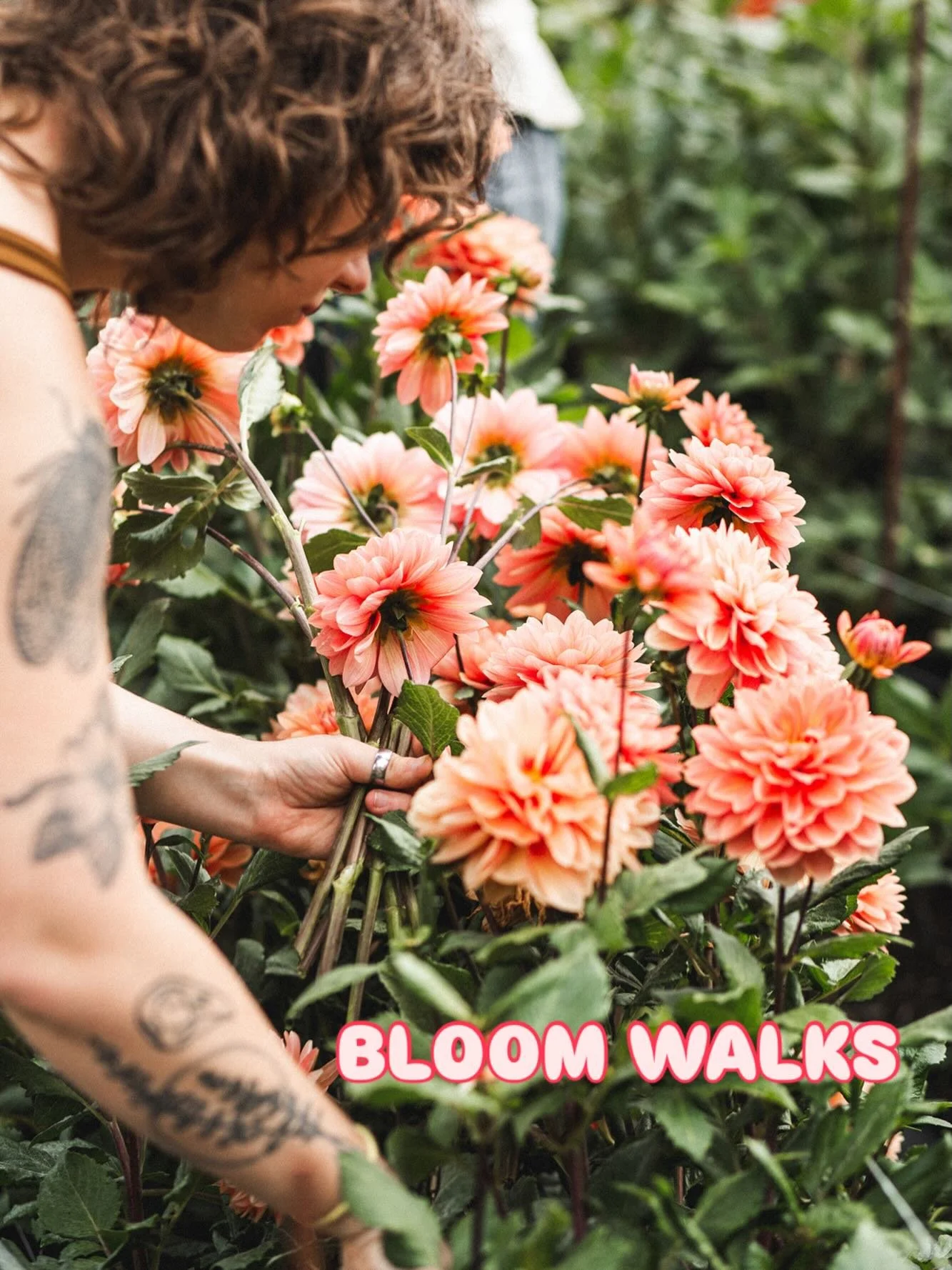 🌸NEW THIS SEASON🌸BLOOM WALKS🌸

Experience our flower fields up close. Walk the fields and learn how to cut what is blooming with me, Brinton, your local flower farmer! 

We will gather in the fields at golden hour and harvest flowers alongside one