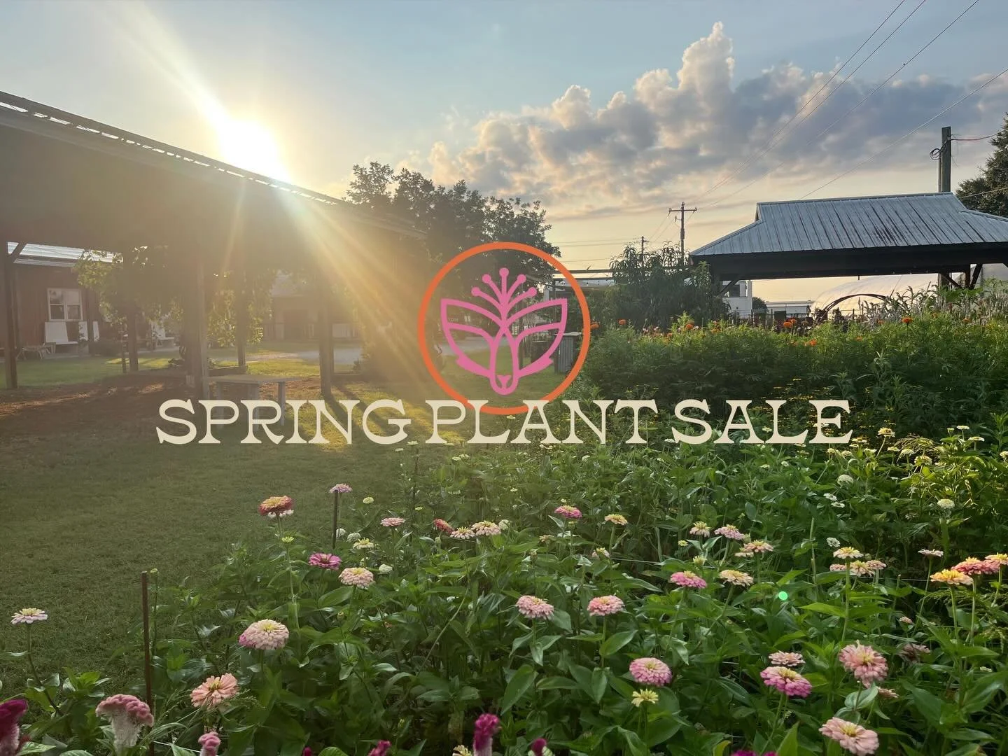 🌸🦊SPRING PLANT SALE🦊🌸

Our annual Spring Plant Sale is right around the corner. We are once again offering online pre-orders for folks to shop ahead of time and pick up the weekend of our sale. 

PRE-ORDERS ARE NOW LIVE! Head to the link in our b