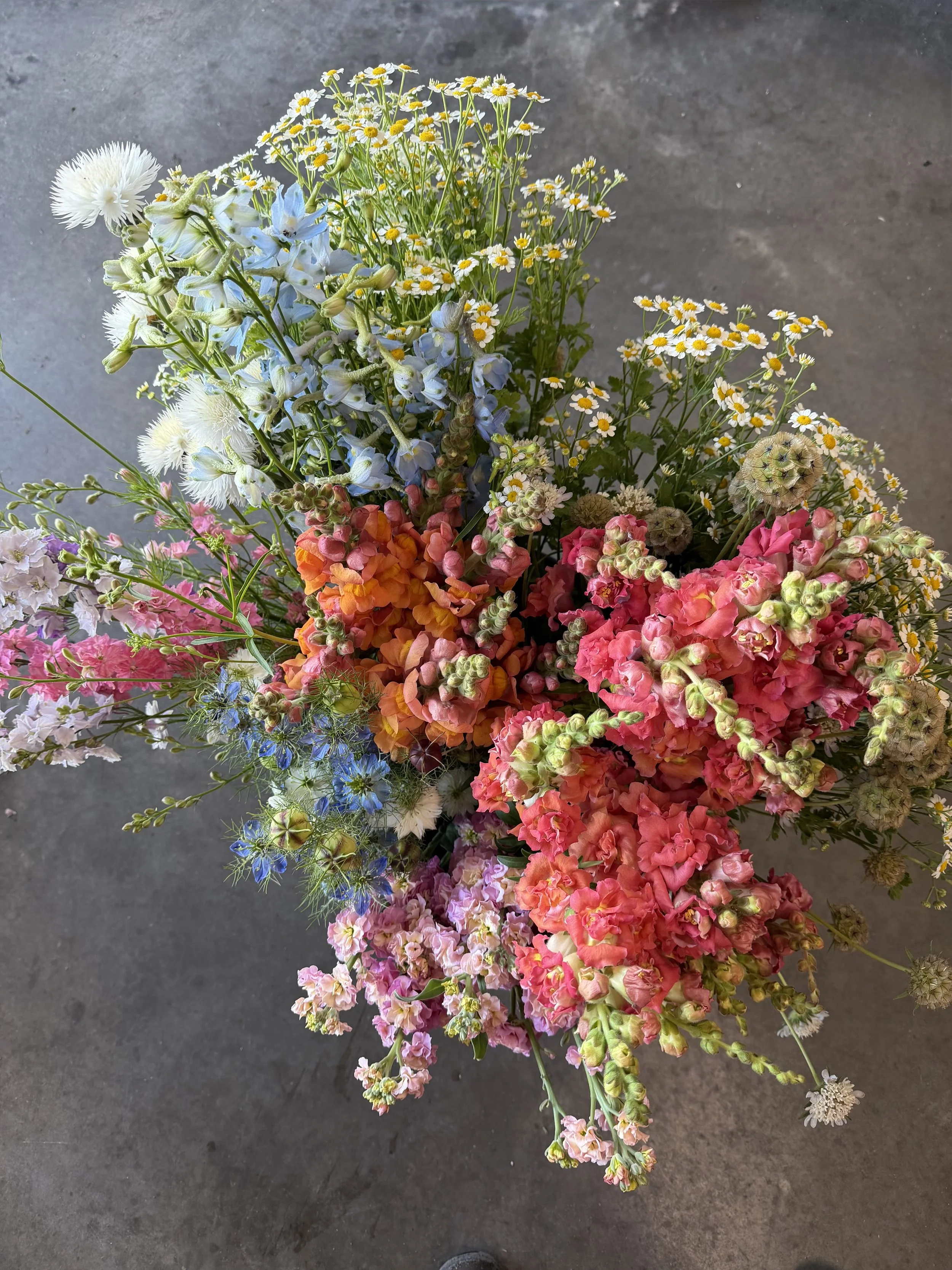 Various colorful flowers in white buckets on a green cart, with a greenhouse and garden in the background.