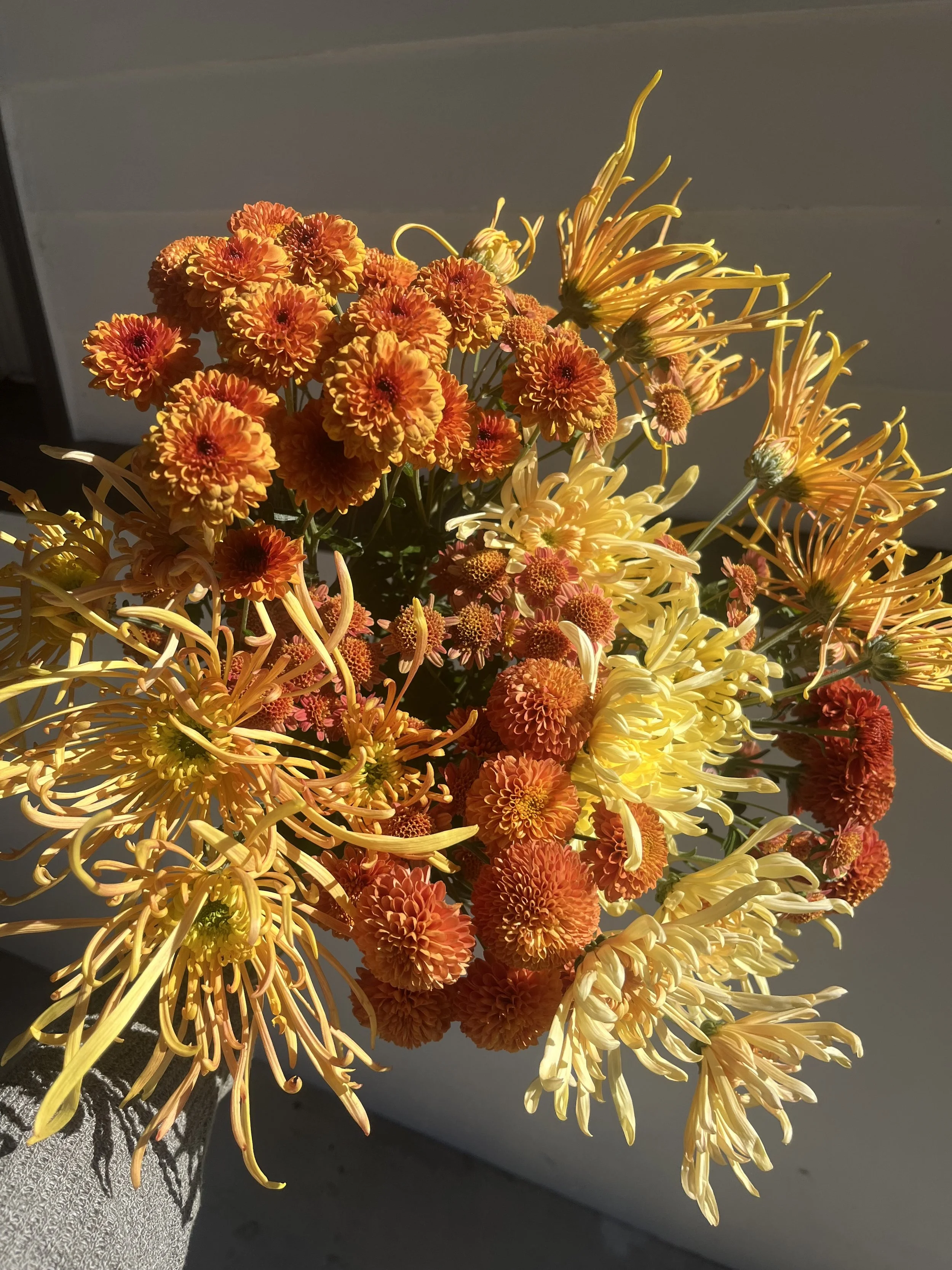 Chrysanthemum Bunch - Just the 'mums!