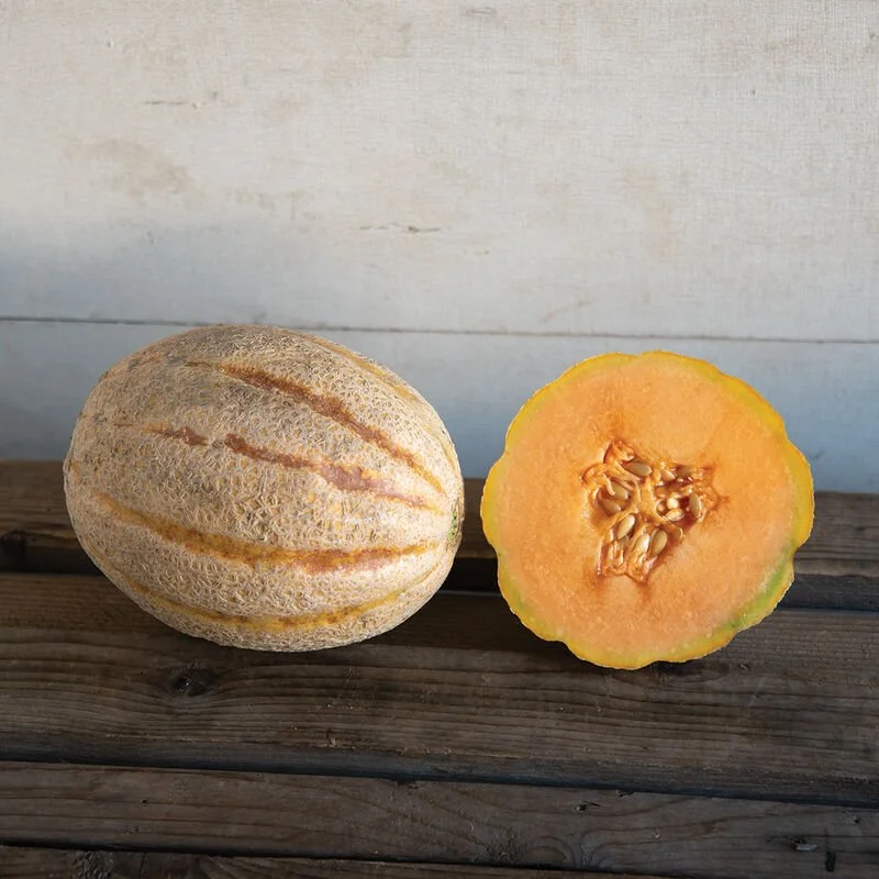Melon, Cantaloupe - Hannah's Choice
