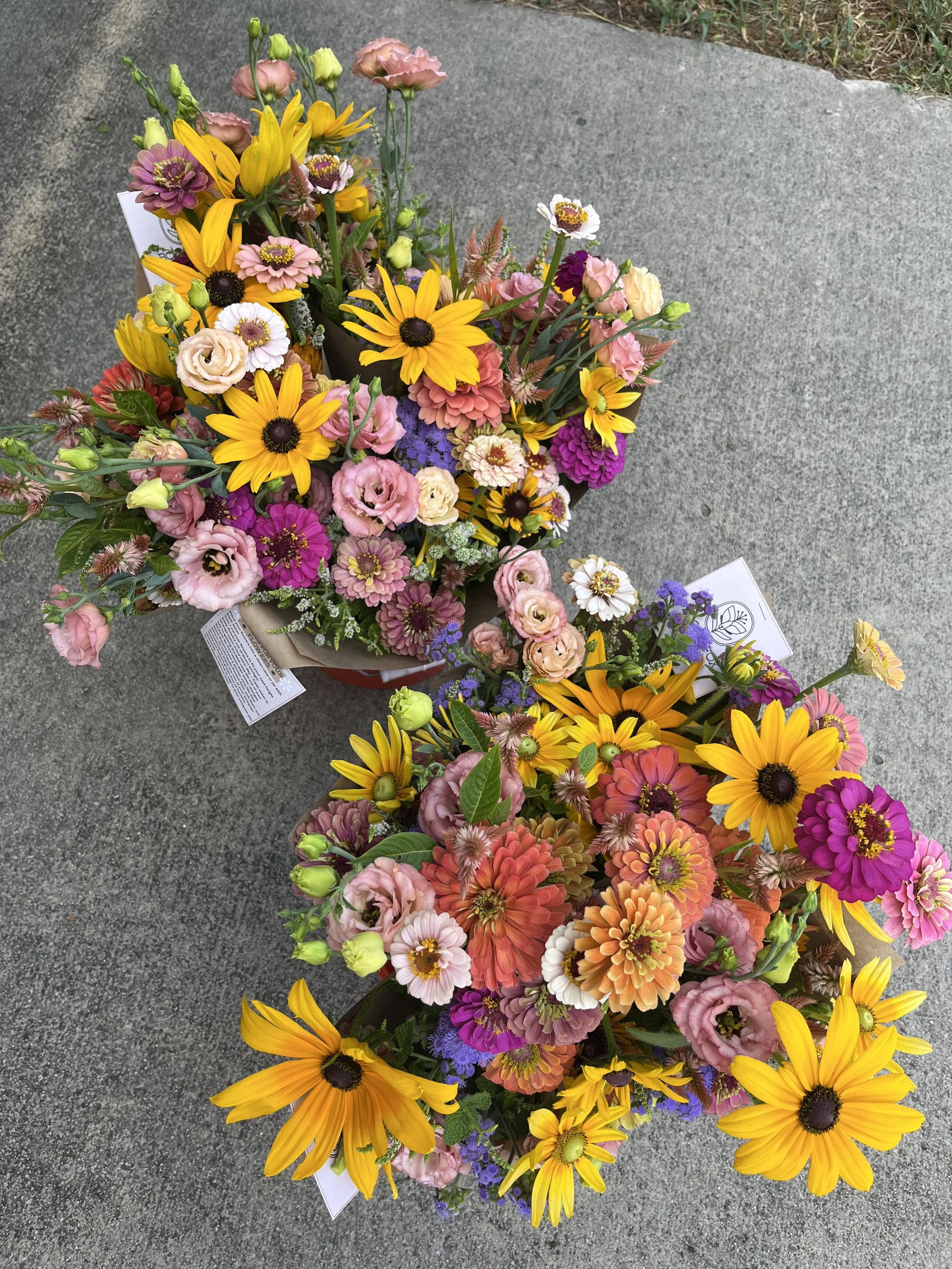 June bouquet Share rudbeckia 2024.jpg