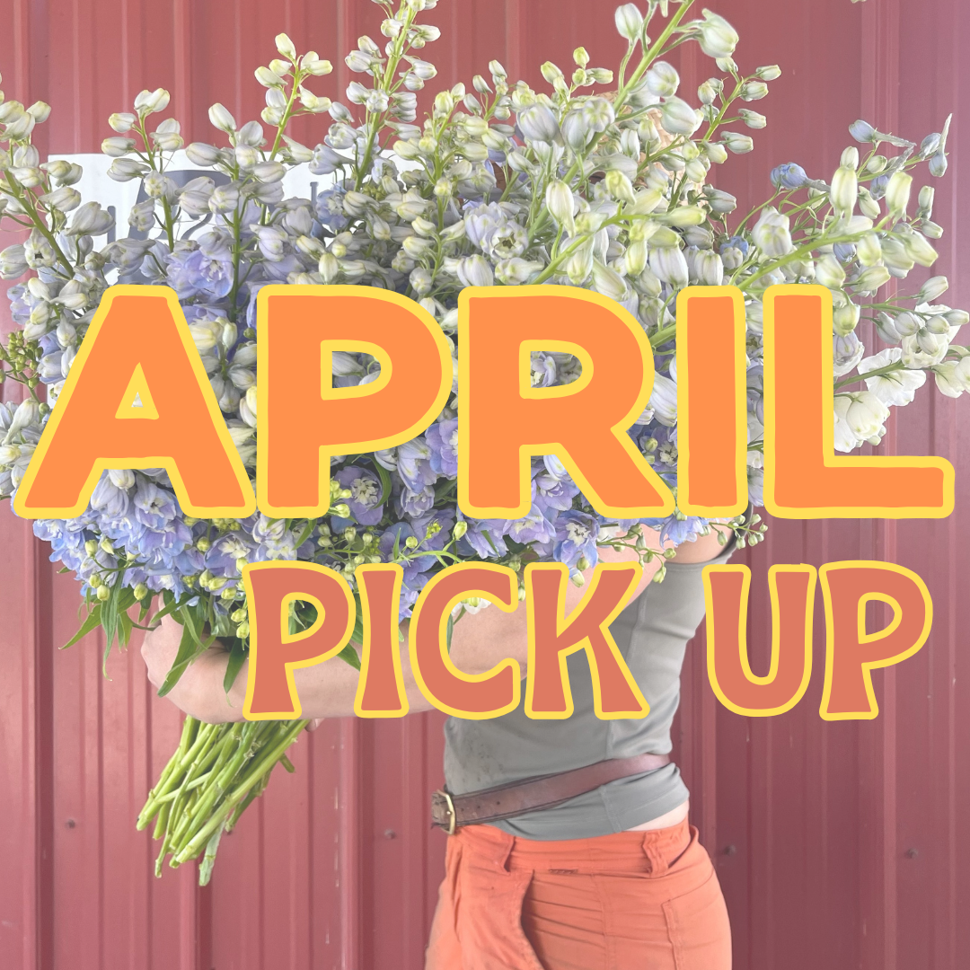 APRIL Pick Up