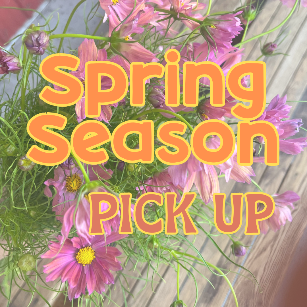Spring Season Share - Weekly Pick Up