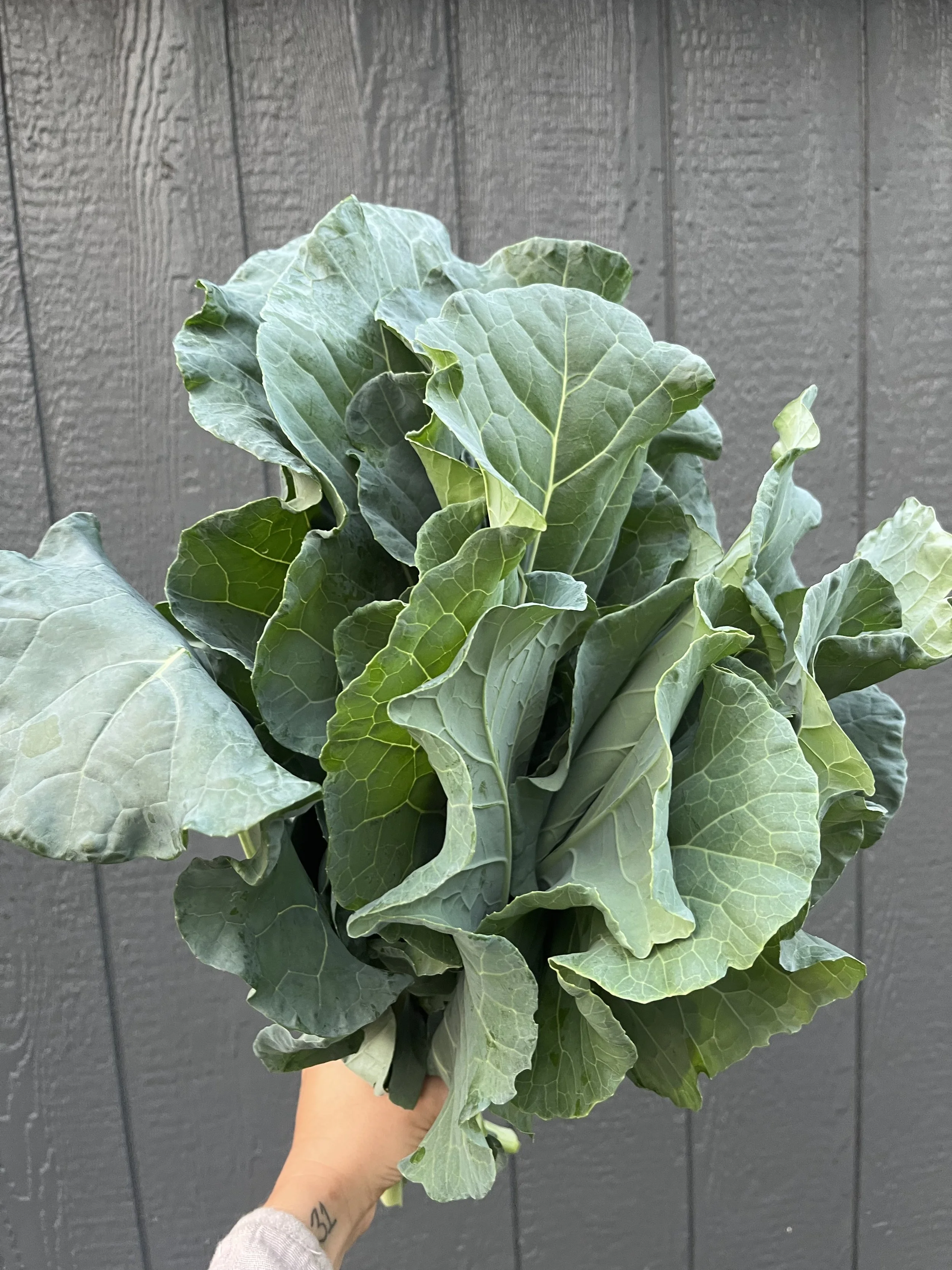 Collard Greens