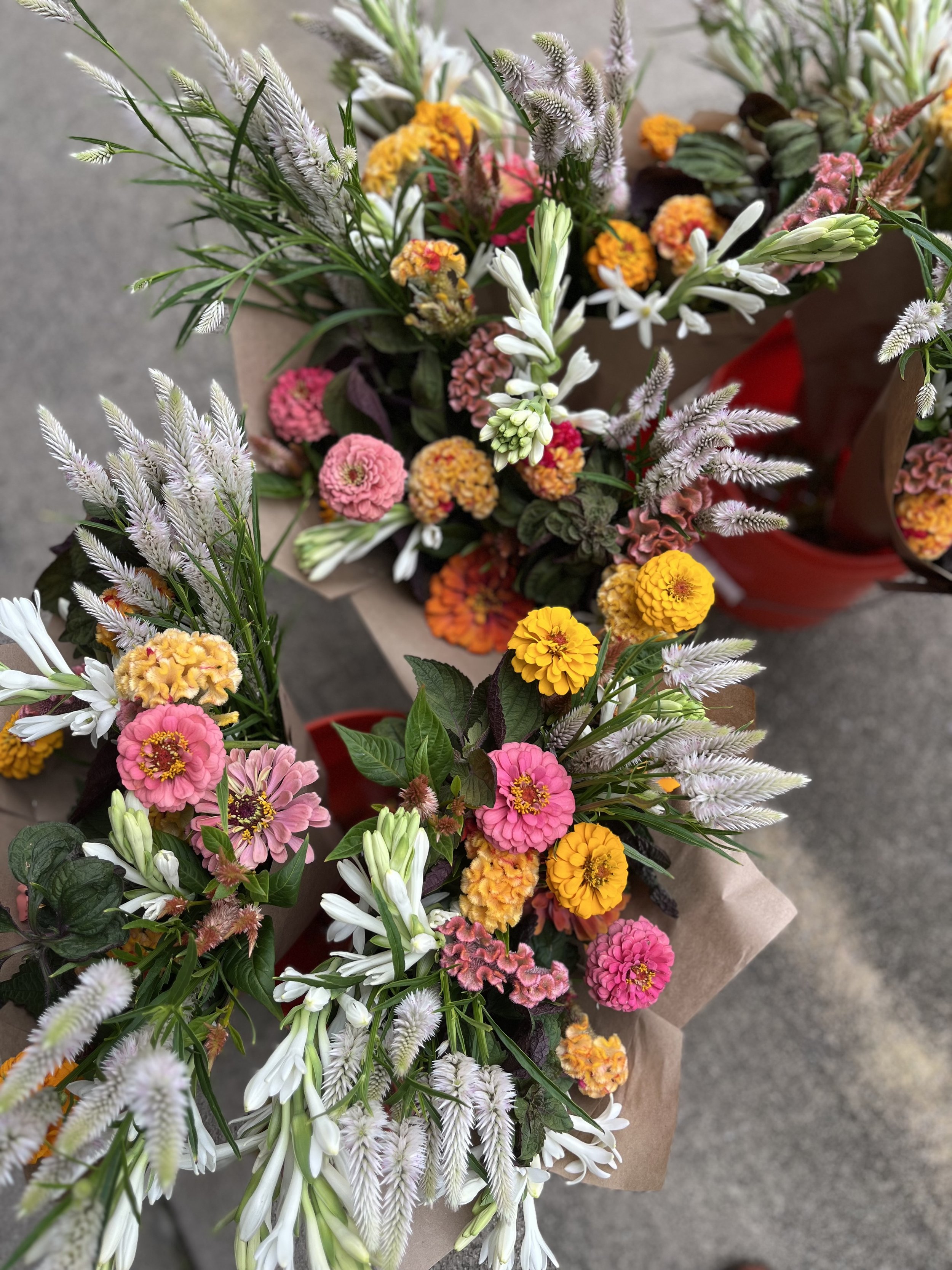 IMG_1917.jpeg