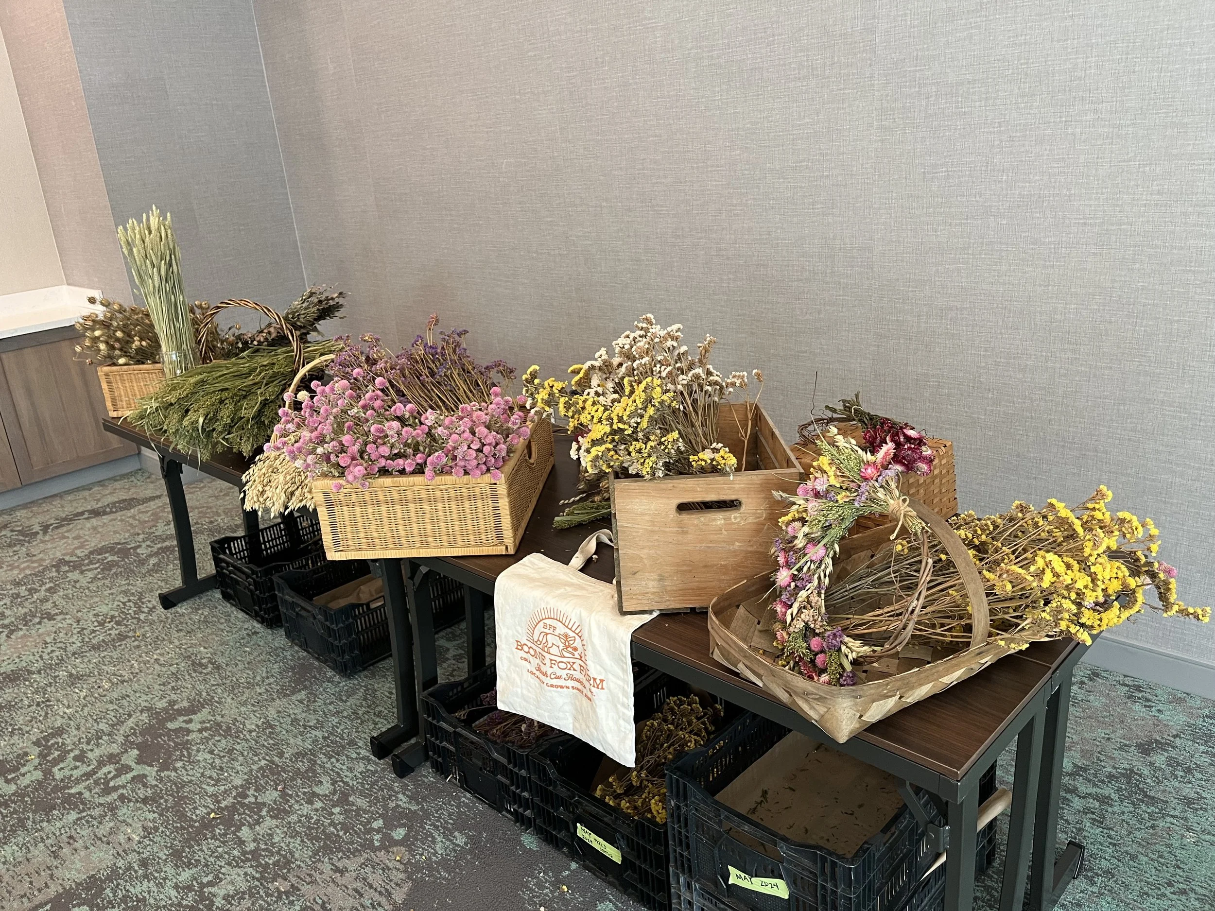 IMG_0433.jpeg