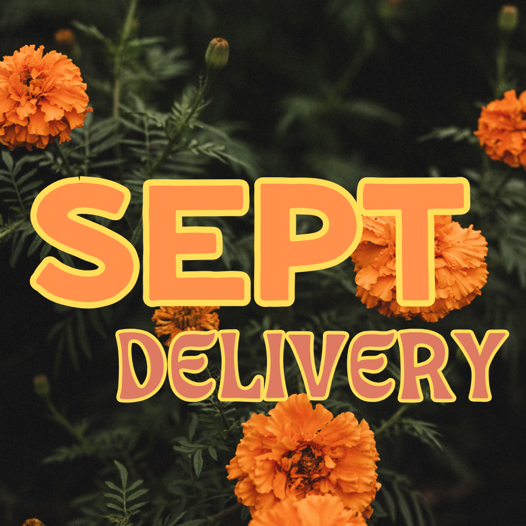 September Share - Delivery