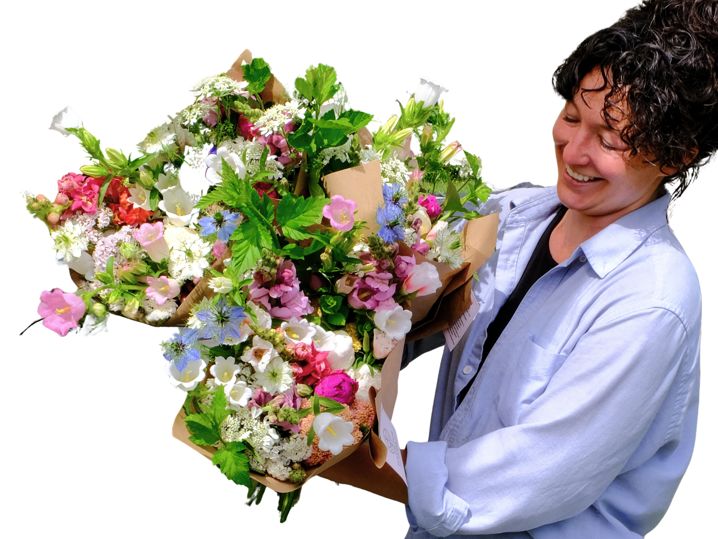 Untitled design (1).png