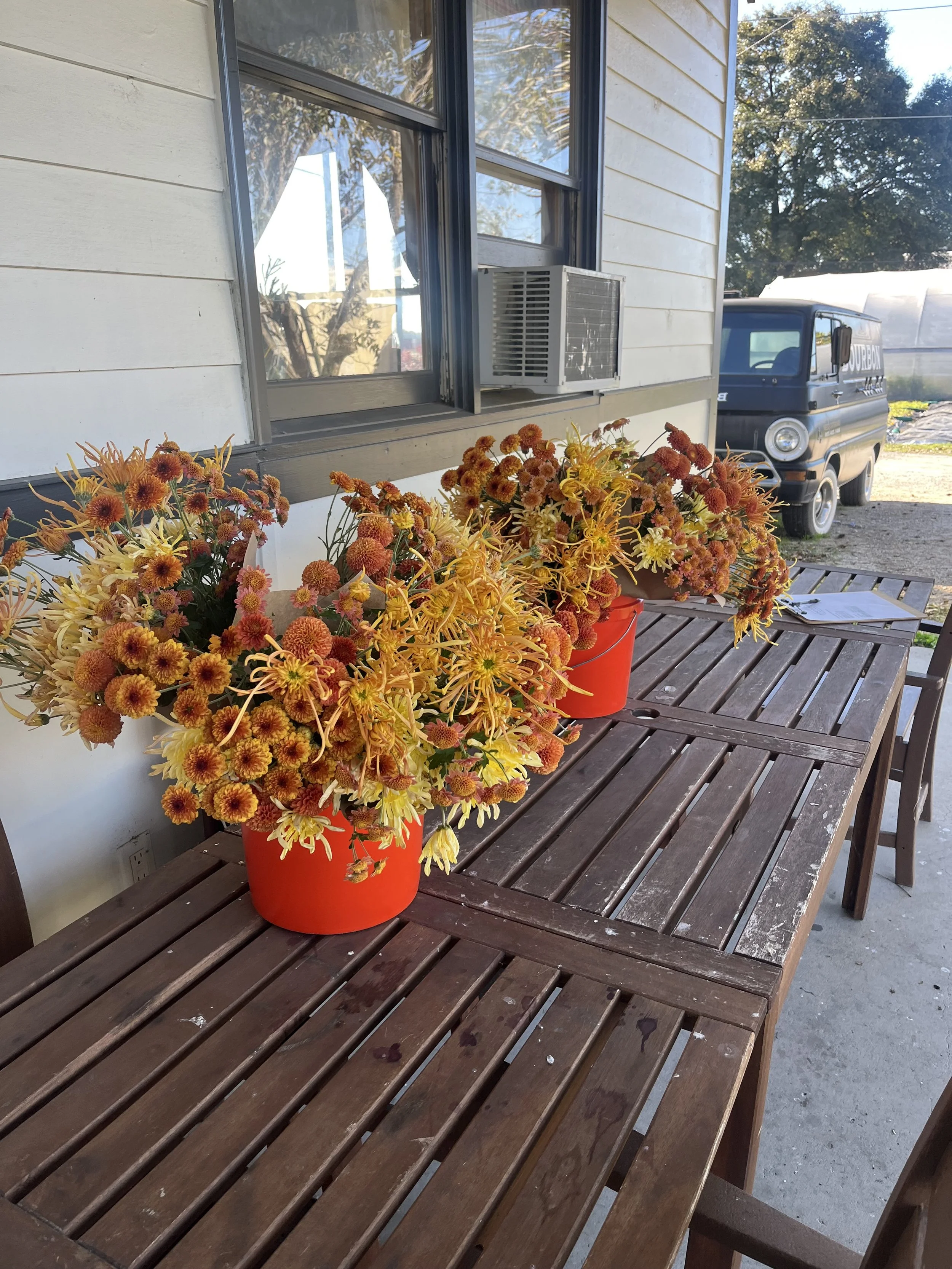 Bouquets for pick up.jpg