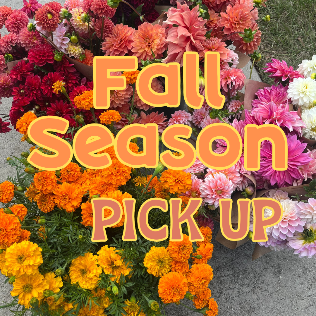 Fall Season Share - Pick Up
