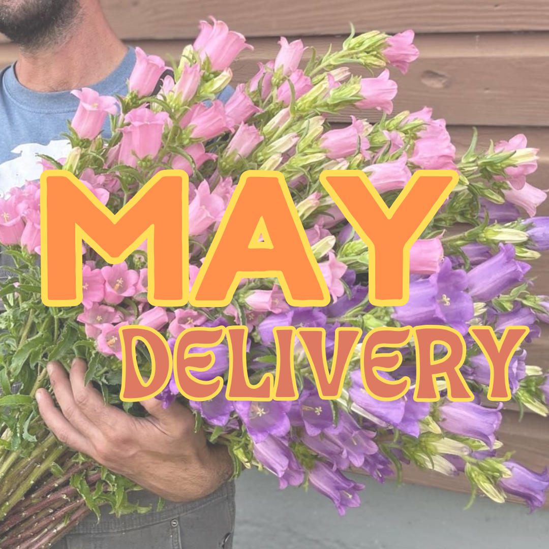 MAY Delivery