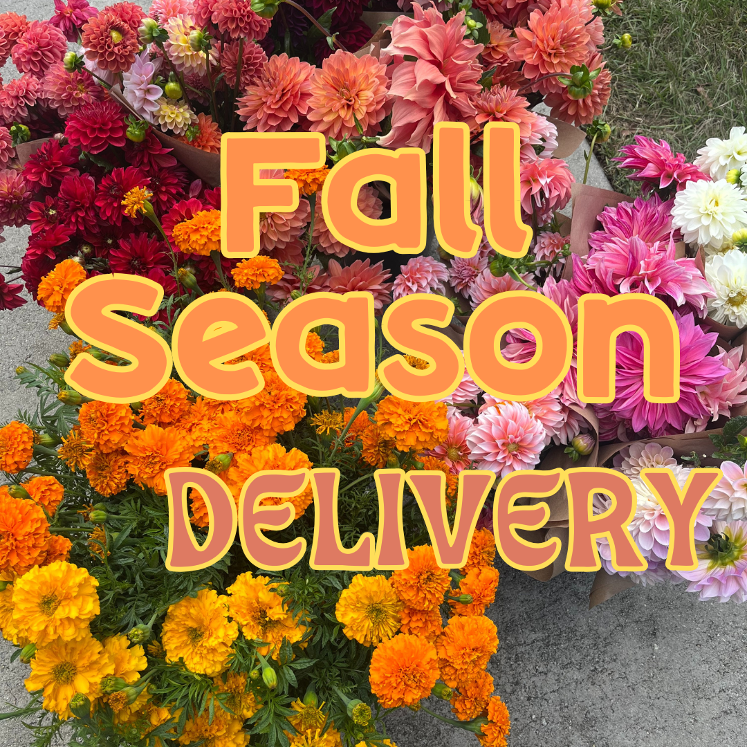 Fall Season Shares - Delivery